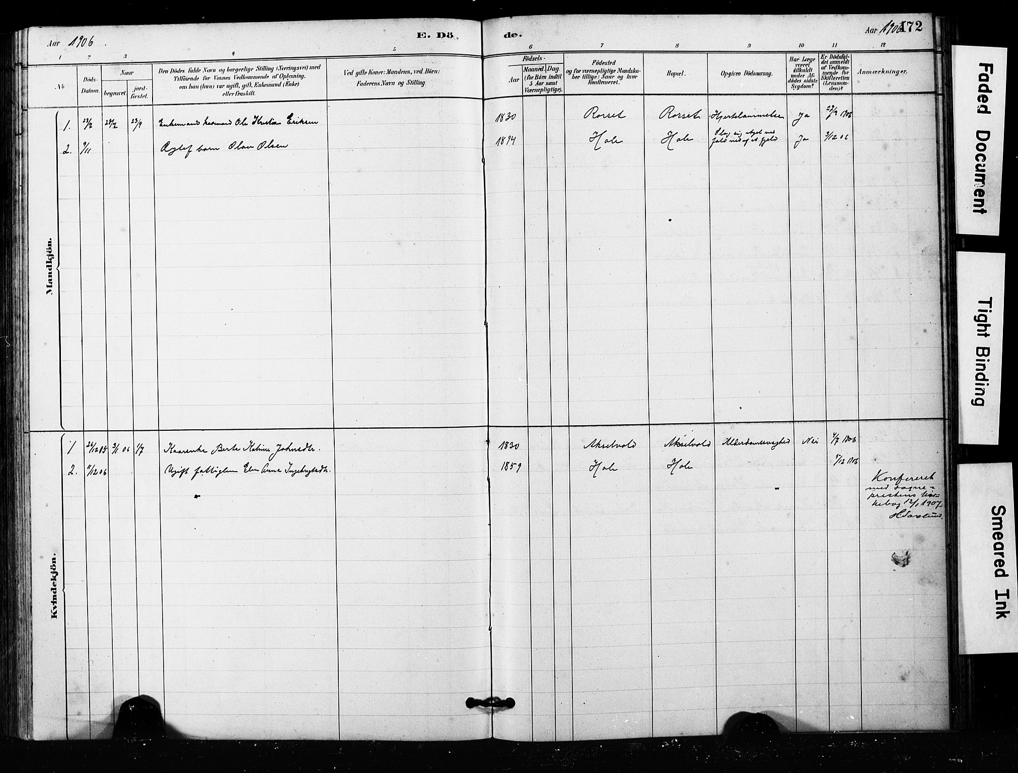 Ministerialprotokoller, klokkerbøker og fødselsregistre - Møre og Romsdal, SAT/A-1454/563/L0737: Parish register (copy) no. 563C01, 1878-1916, p. 172