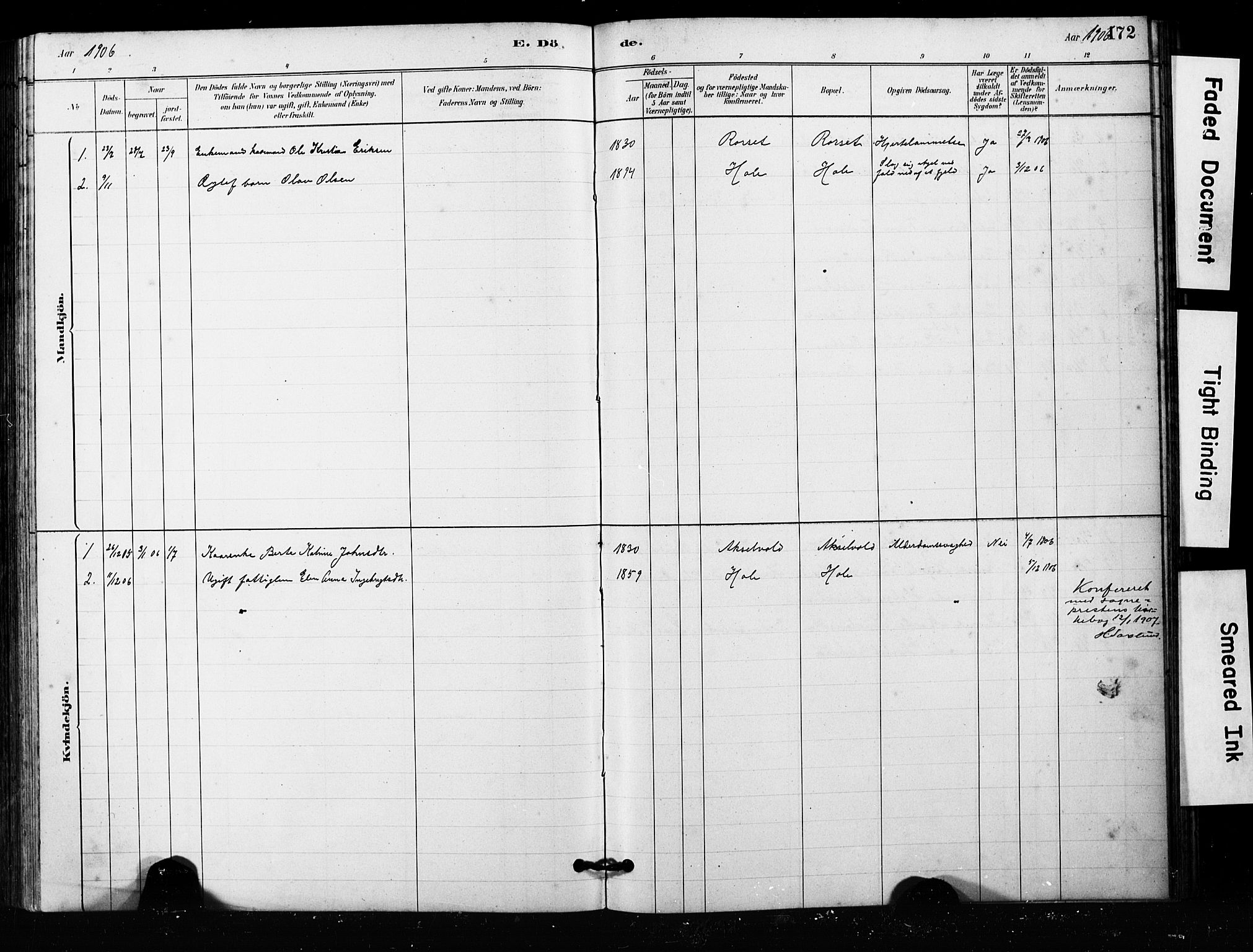 Ministerialprotokoller, klokkerbøker og fødselsregistre - Møre og Romsdal, AV/SAT-A-1454/563/L0737: Parish register (copy) no. 563C01, 1878-1916, p. 172