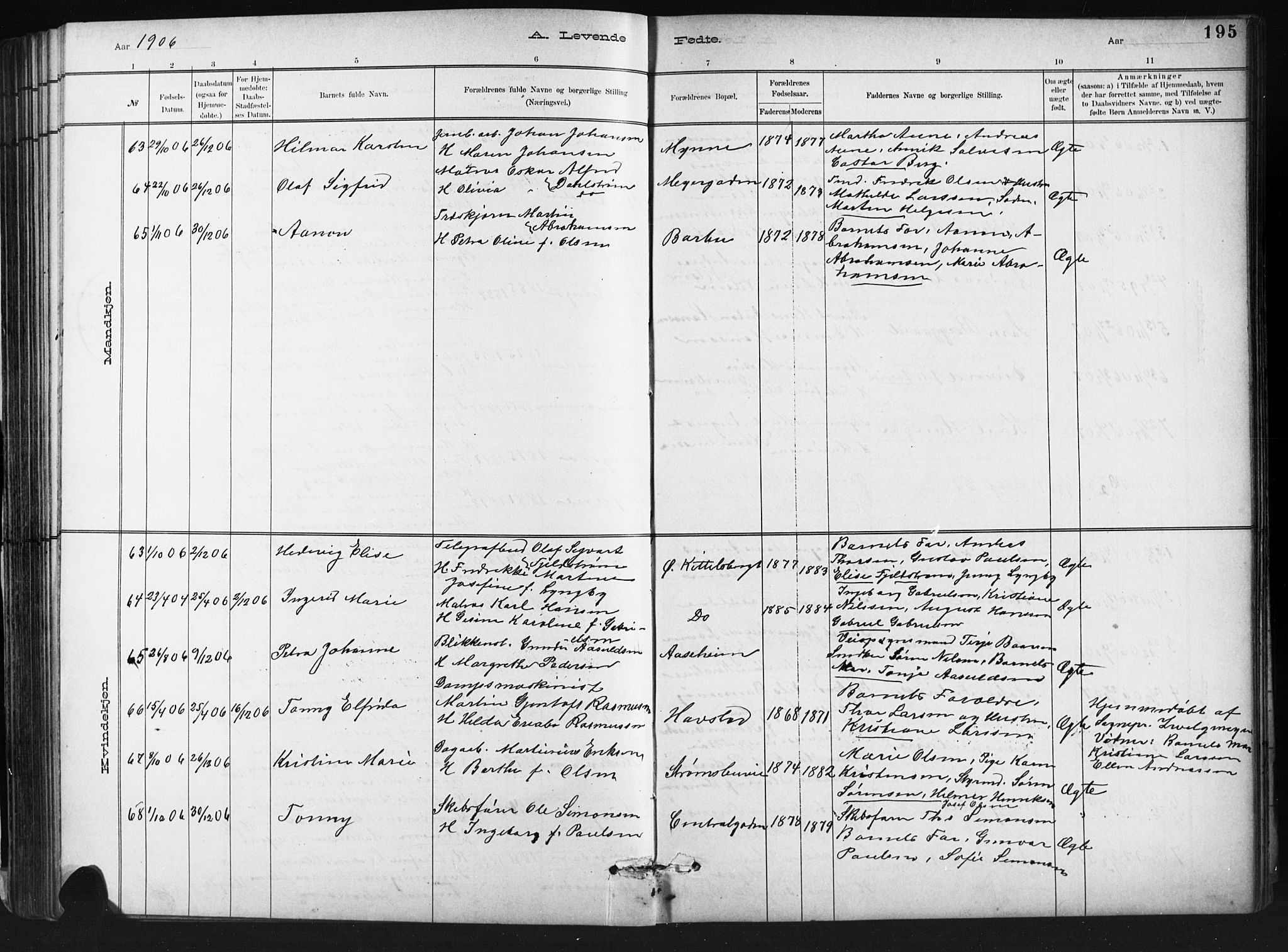 Barbu sokneprestkontor, AV/SAK-1111-0003/F/Fb/L0002: Parish register (copy) no. B 2, 1890-1922, p. 195