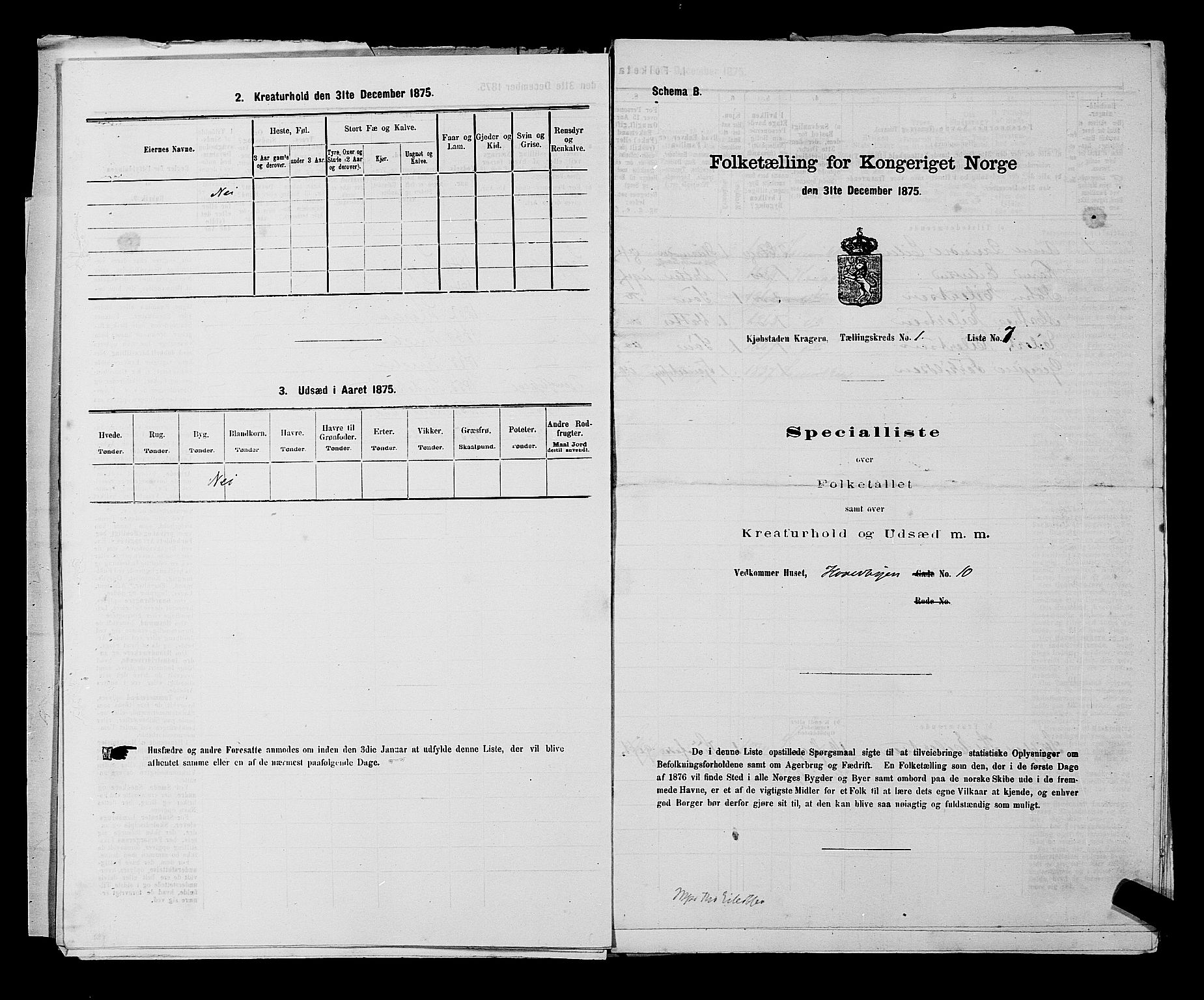 SAKO, 1875 census for 0801P Kragerø, 1875, p. 38