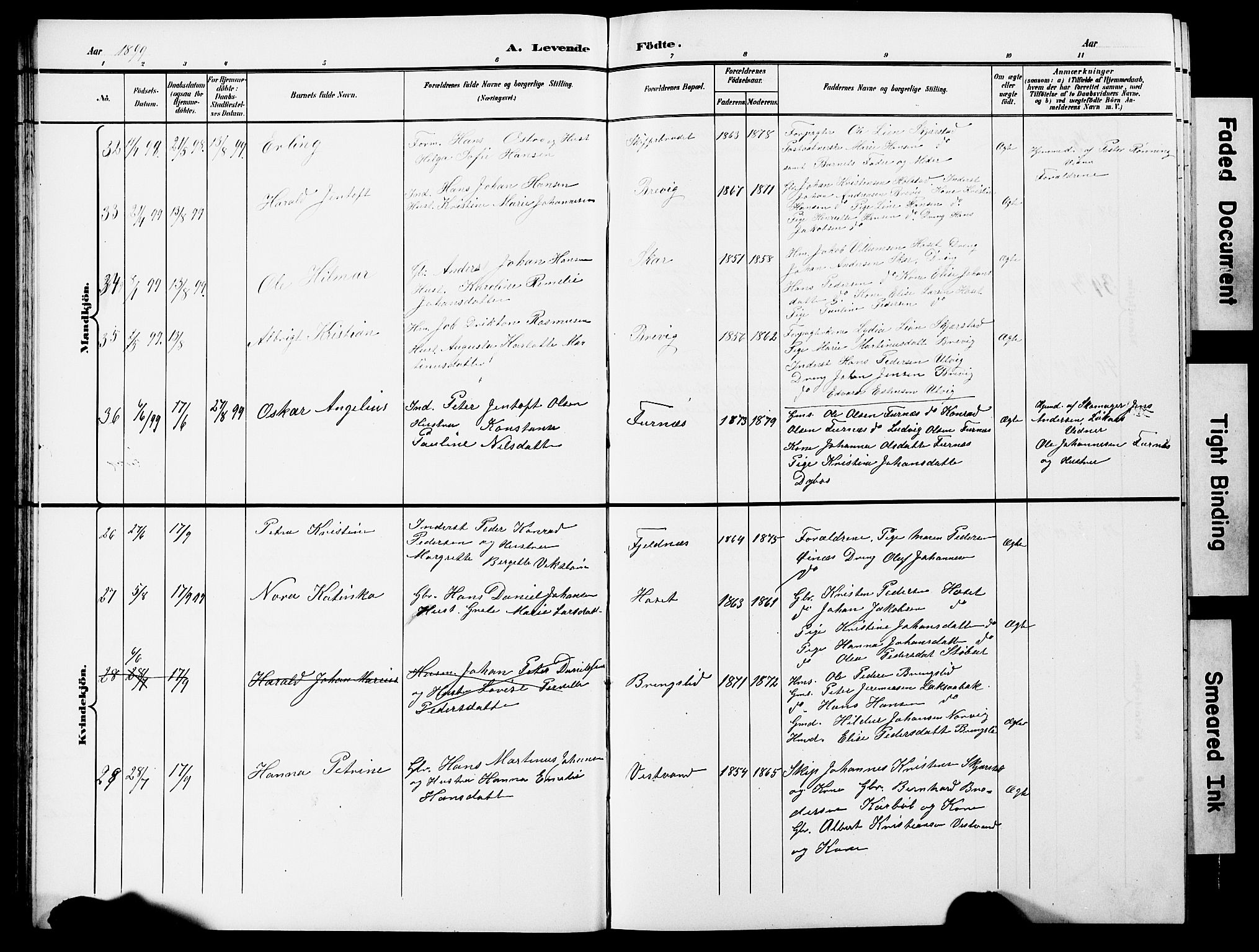 Ministerialprotokoller, klokkerbøker og fødselsregistre - Nordland, AV/SAT-A-1459/852/L0755: Parish register (copy) no. 852C06, 1895-1902