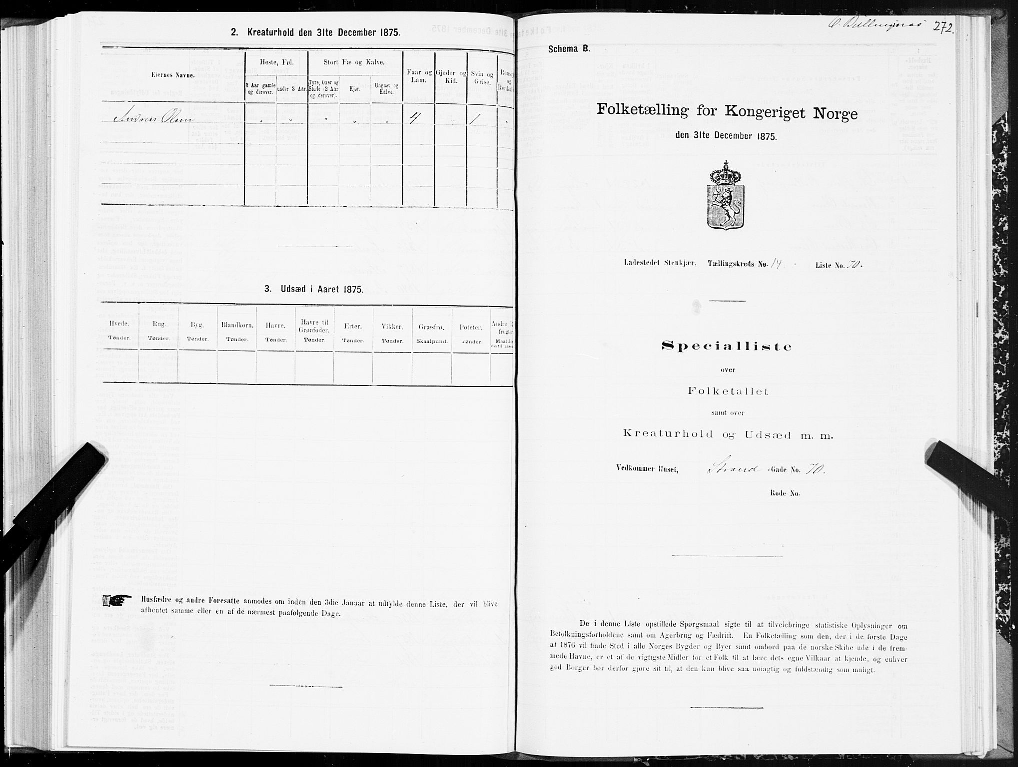 SAT, 1875 census for 1702B Steinkjer/Steinkjer, 1875, p. 272