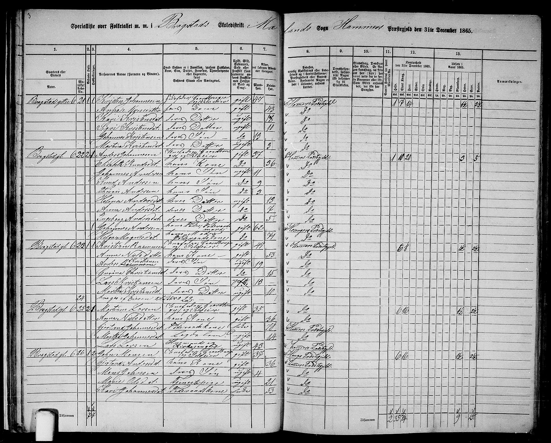 RA, 1865 census for Hamre, 1865, p. 27