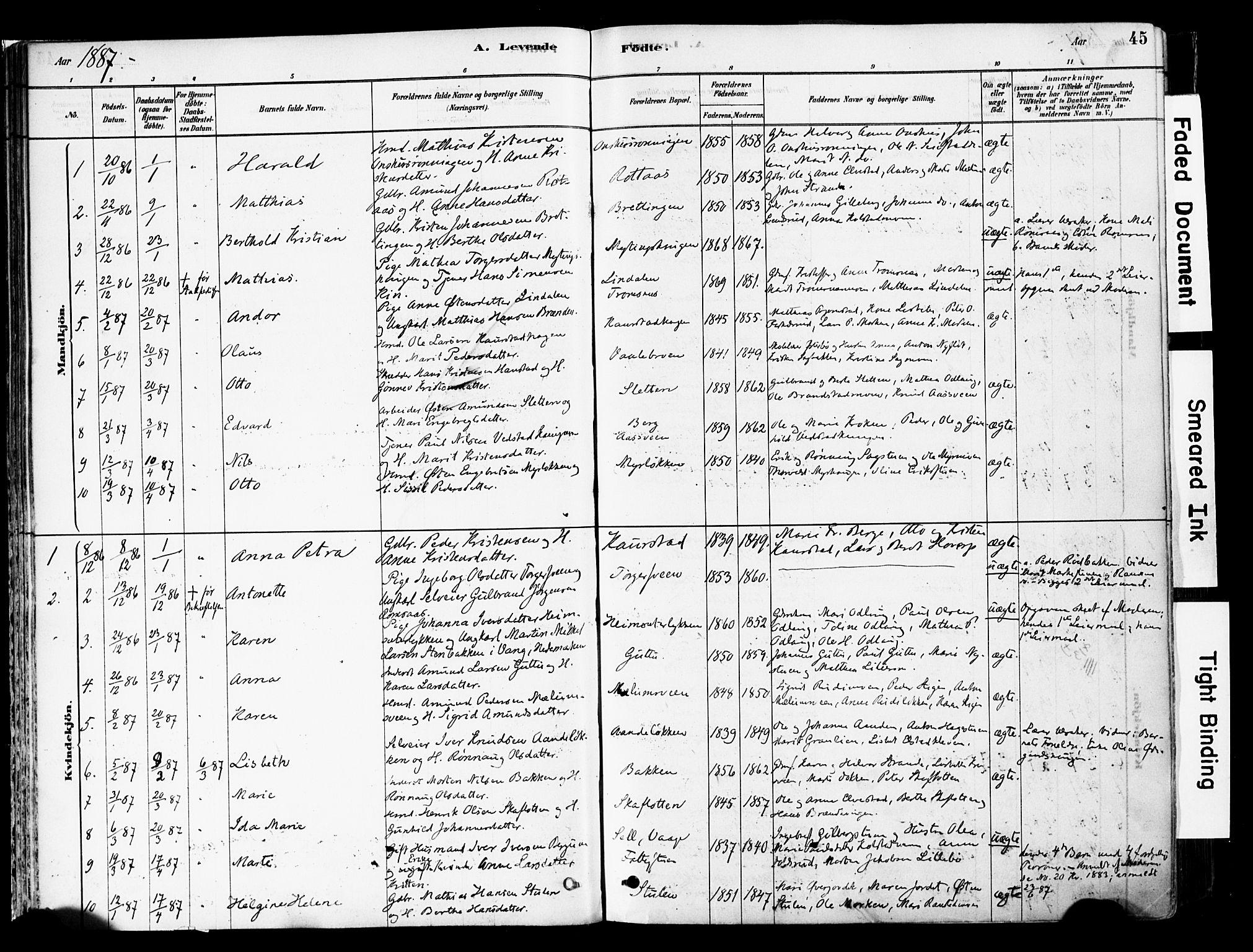 Ringebu prestekontor, AV/SAH-PREST-082/H/Ha/Haa/L0008: Parish register (official) no. 8, 1878-1898, p. 45