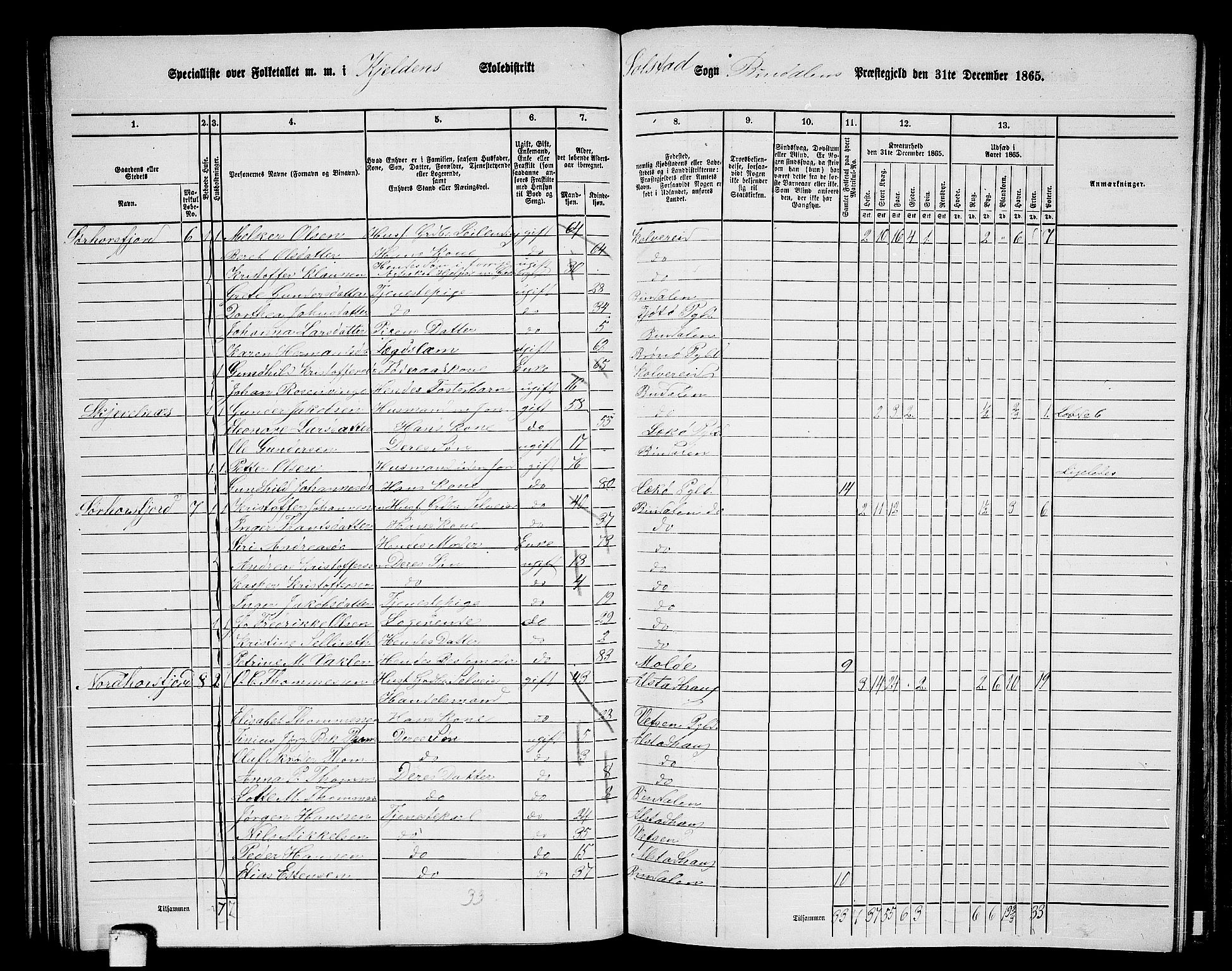RA, 1865 census for Bindal, 1865, p. 59