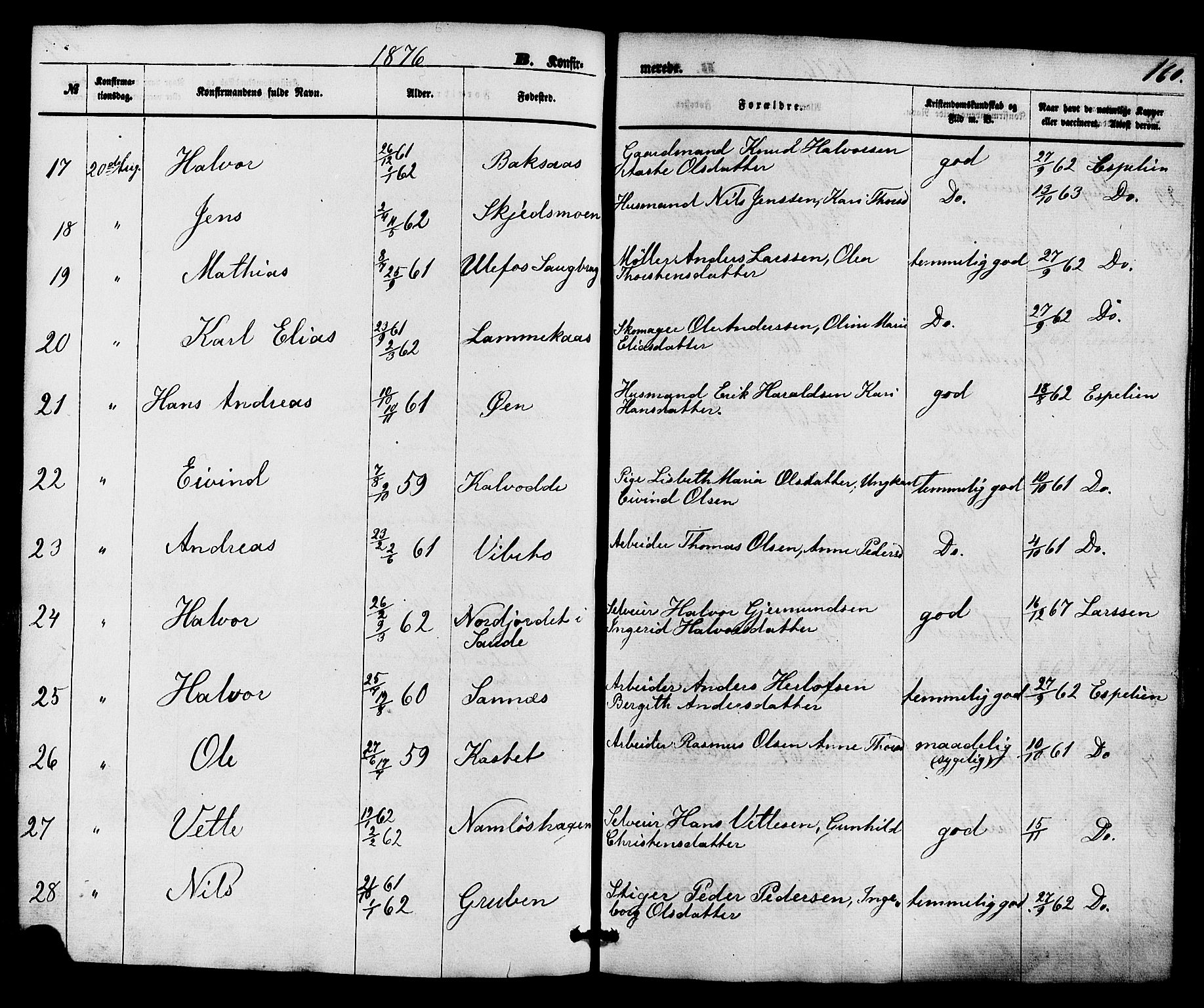 Holla kirkebøker, AV/SAKO-A-272/F/Fa/L0007: Parish register (official) no. 7, 1869-1881, p. 160