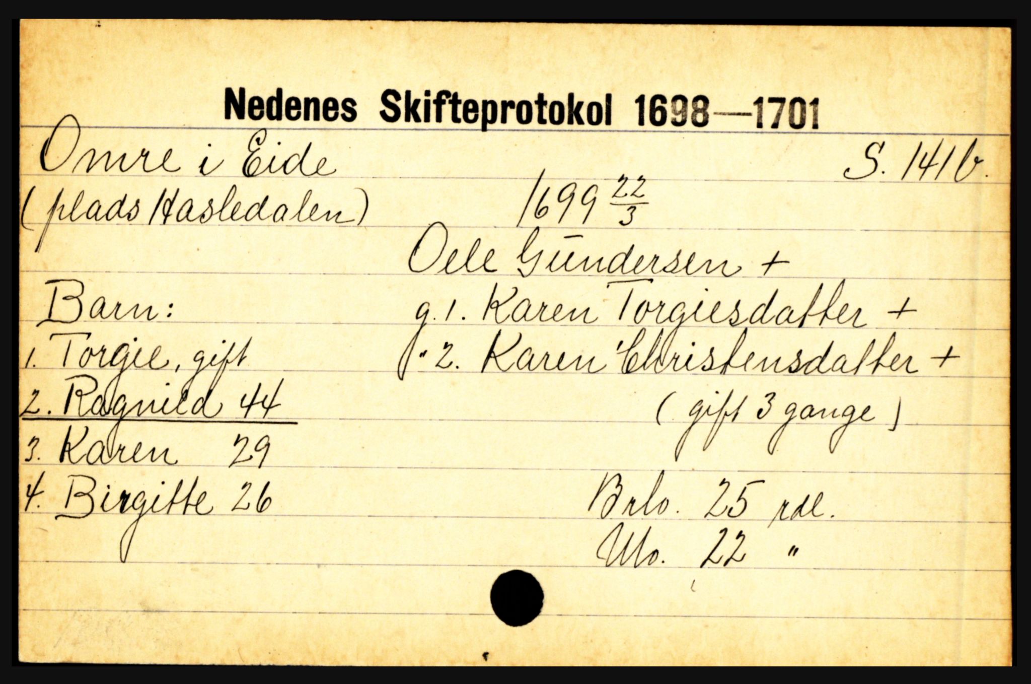 Nedenes sorenskriveri før 1824, AV/SAK-1221-0007/H, p. 22917