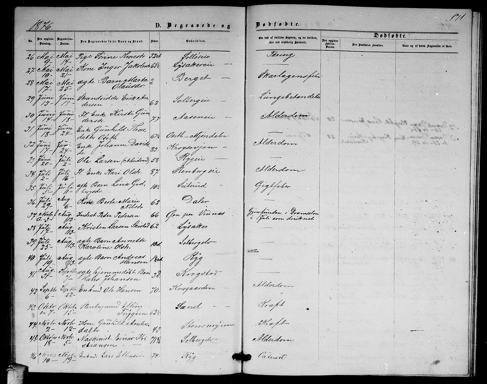 Nedre Eiker kirkebøker, AV/SAKO-A-612/G/Ga/L0001: Parish register (copy) no. 1, 1873-1880, p. 171