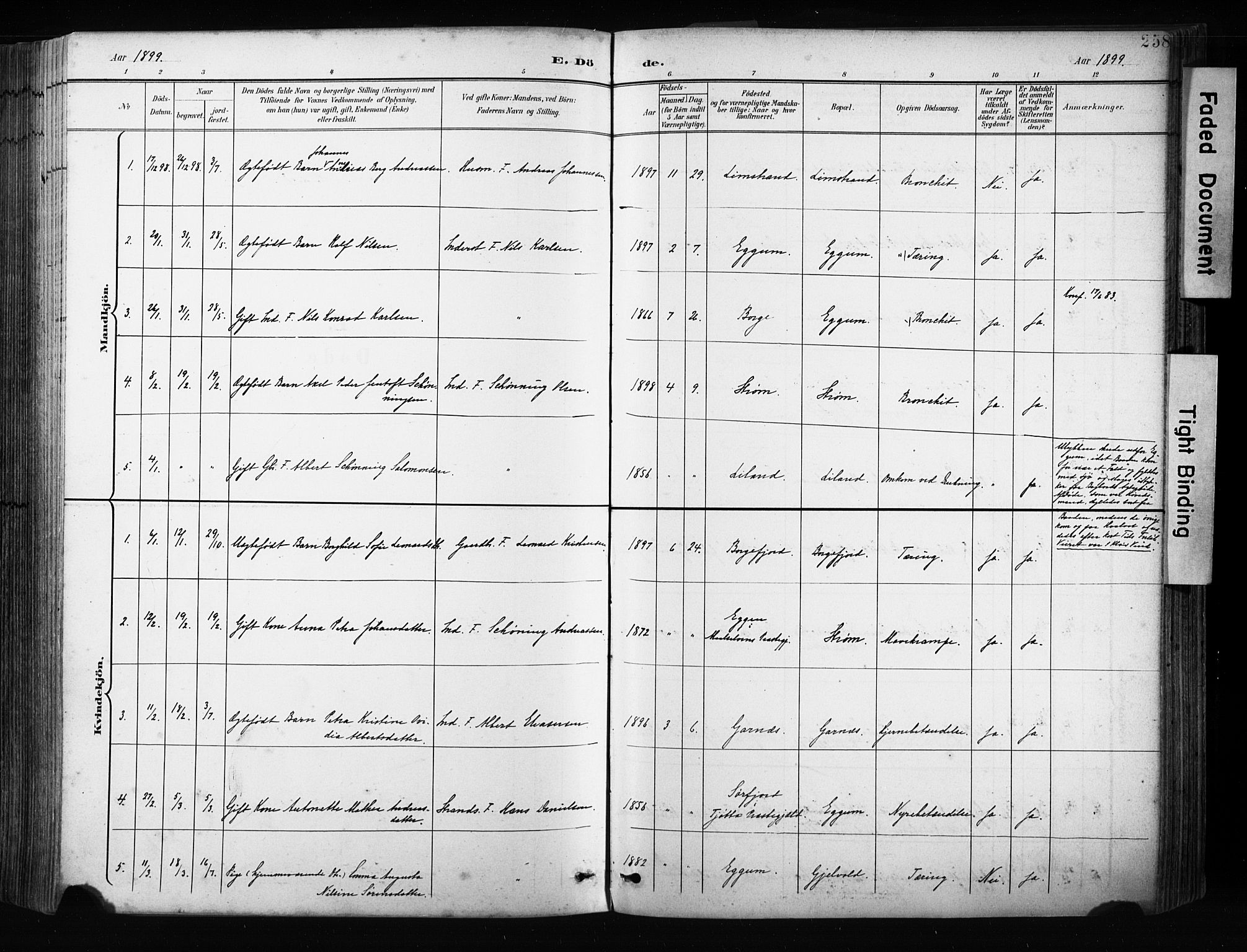 Ministerialprotokoller, klokkerbøker og fødselsregistre - Nordland, AV/SAT-A-1459/880/L1134: Parish register (official) no. 880A08, 1899-1908, p. 258