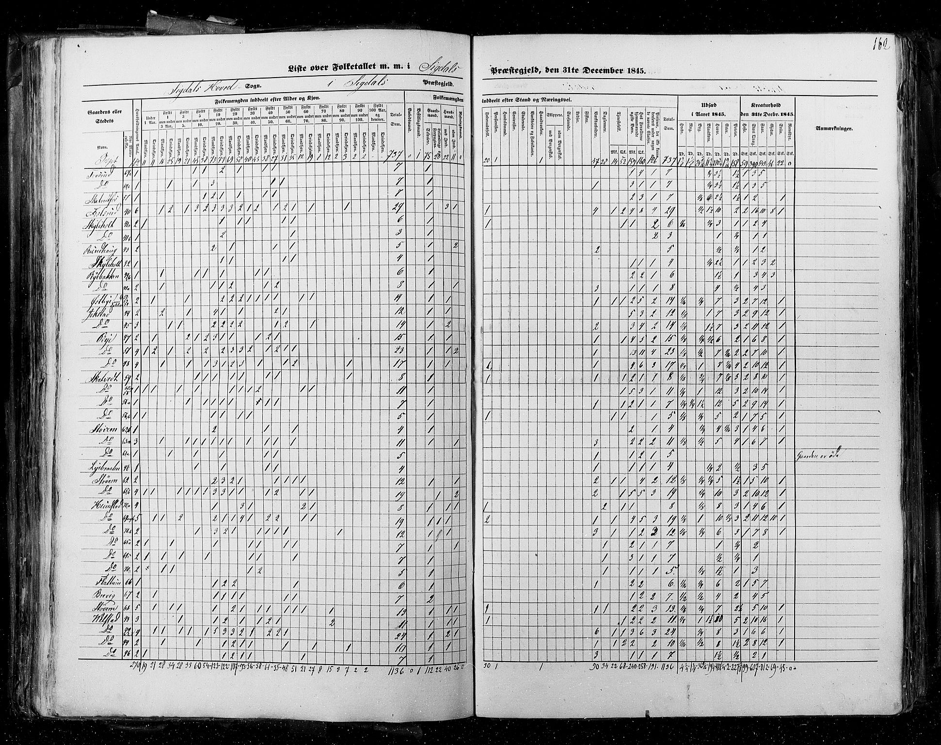 RA, Census 1845, vol. 4: Buskerud amt og Jarlsberg og Larvik amt, 1845, p. 162