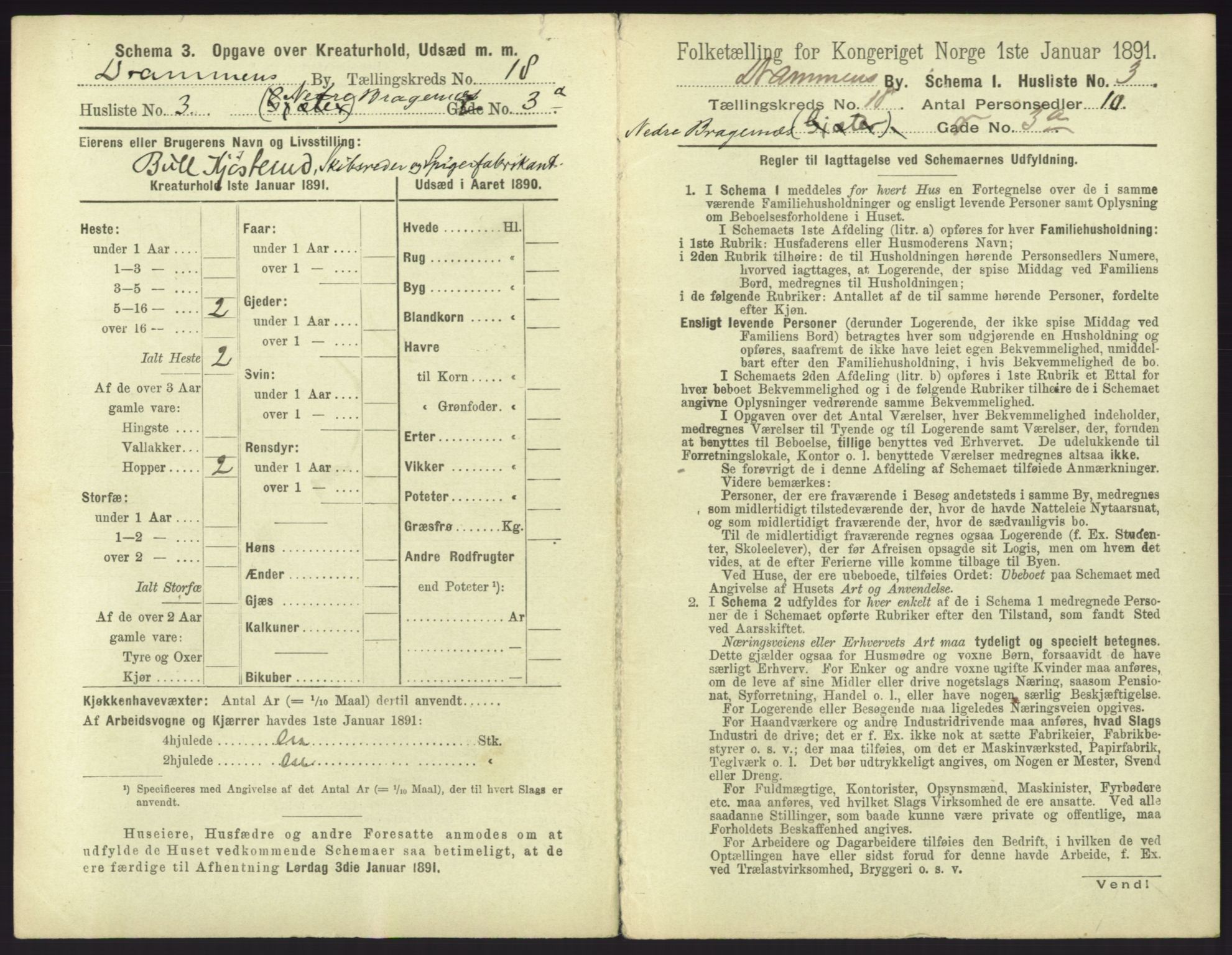 RA, 1891 census for 0602 Drammen, 1891, p. 1493