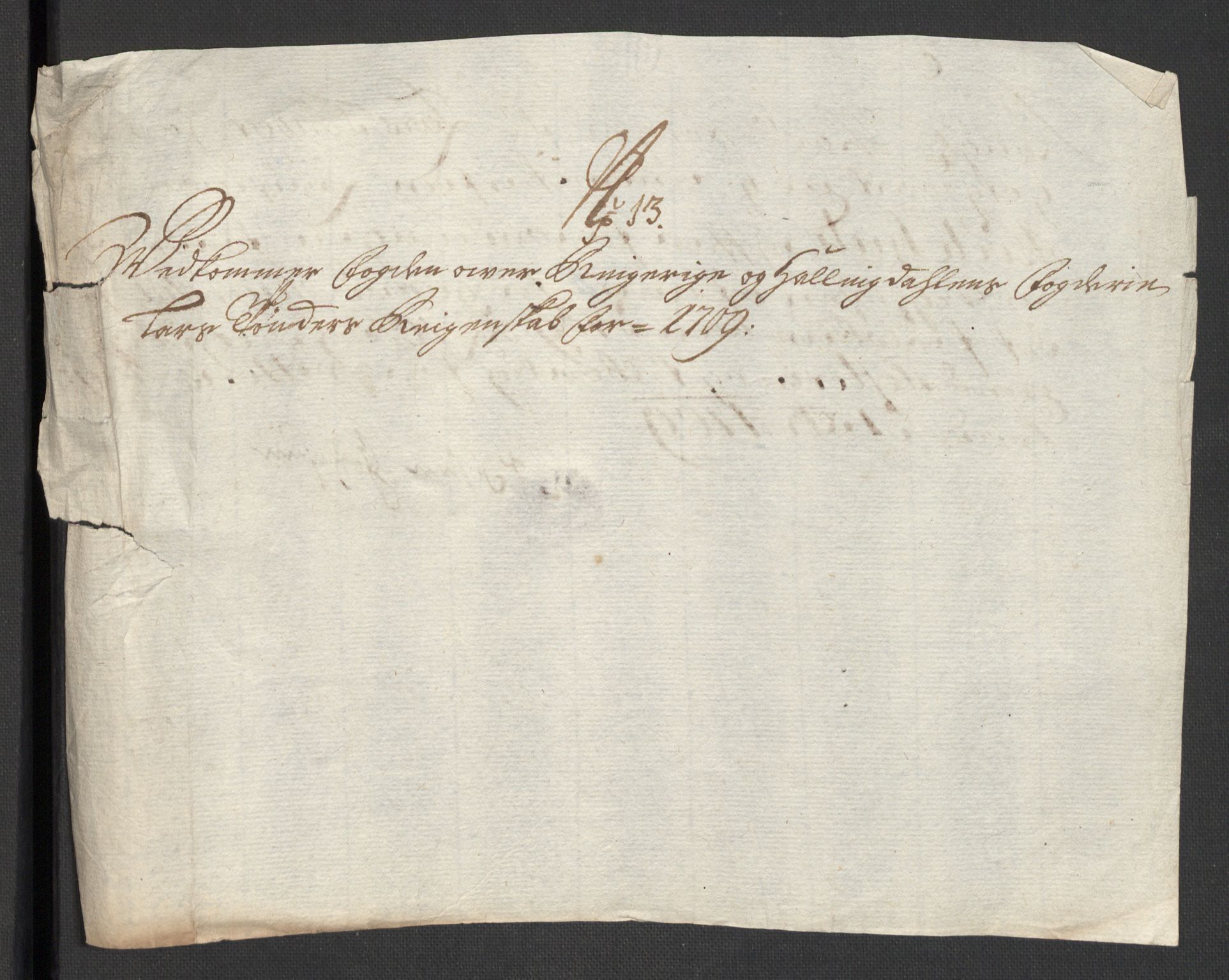 Rentekammeret inntil 1814, Reviderte regnskaper, Fogderegnskap, AV/RA-EA-4092/R23/L1468: Fogderegnskap Ringerike og Hallingdal, 1709-1710, p. 189