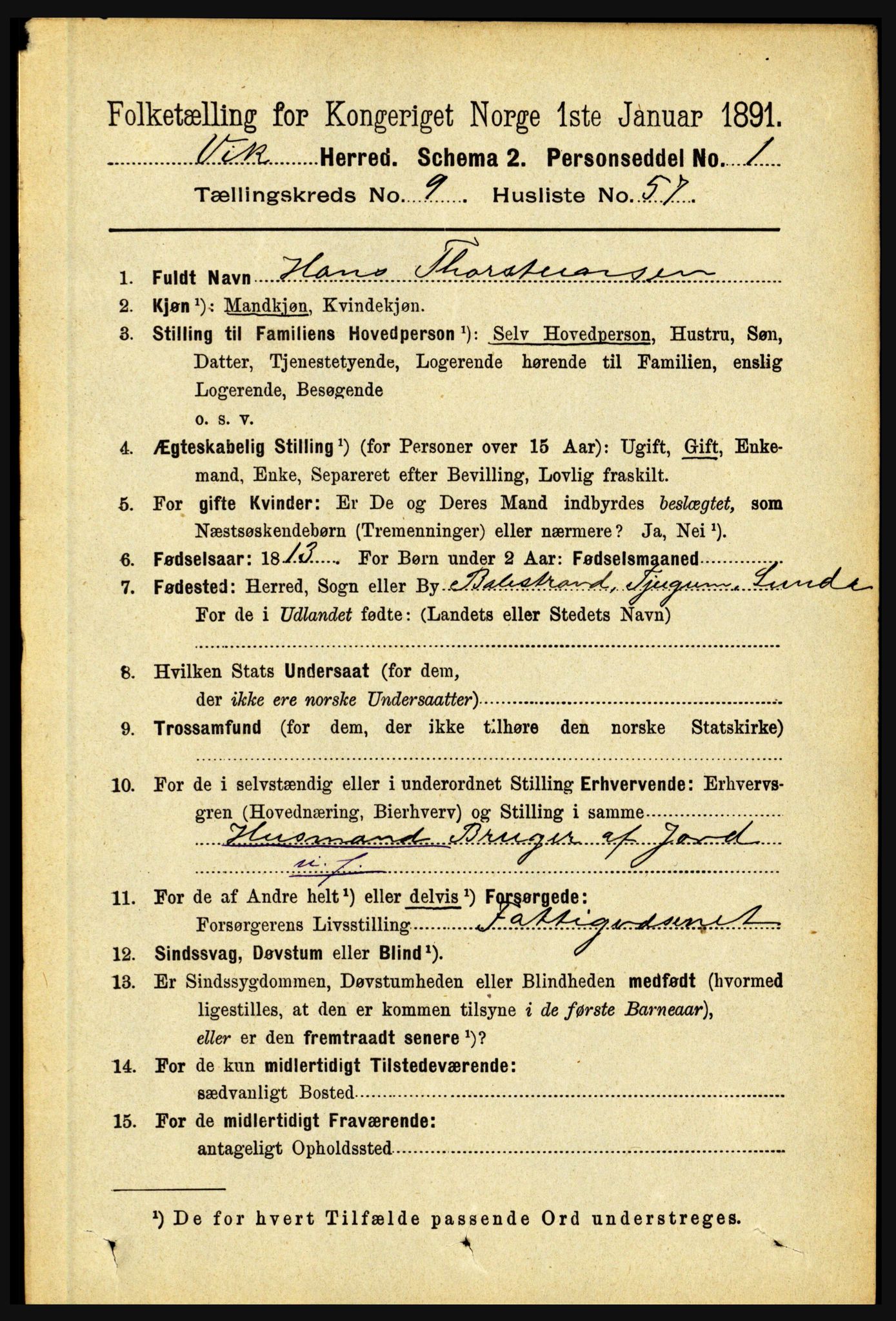 RA, 1891 census for 1417 Vik, 1891, p. 4318