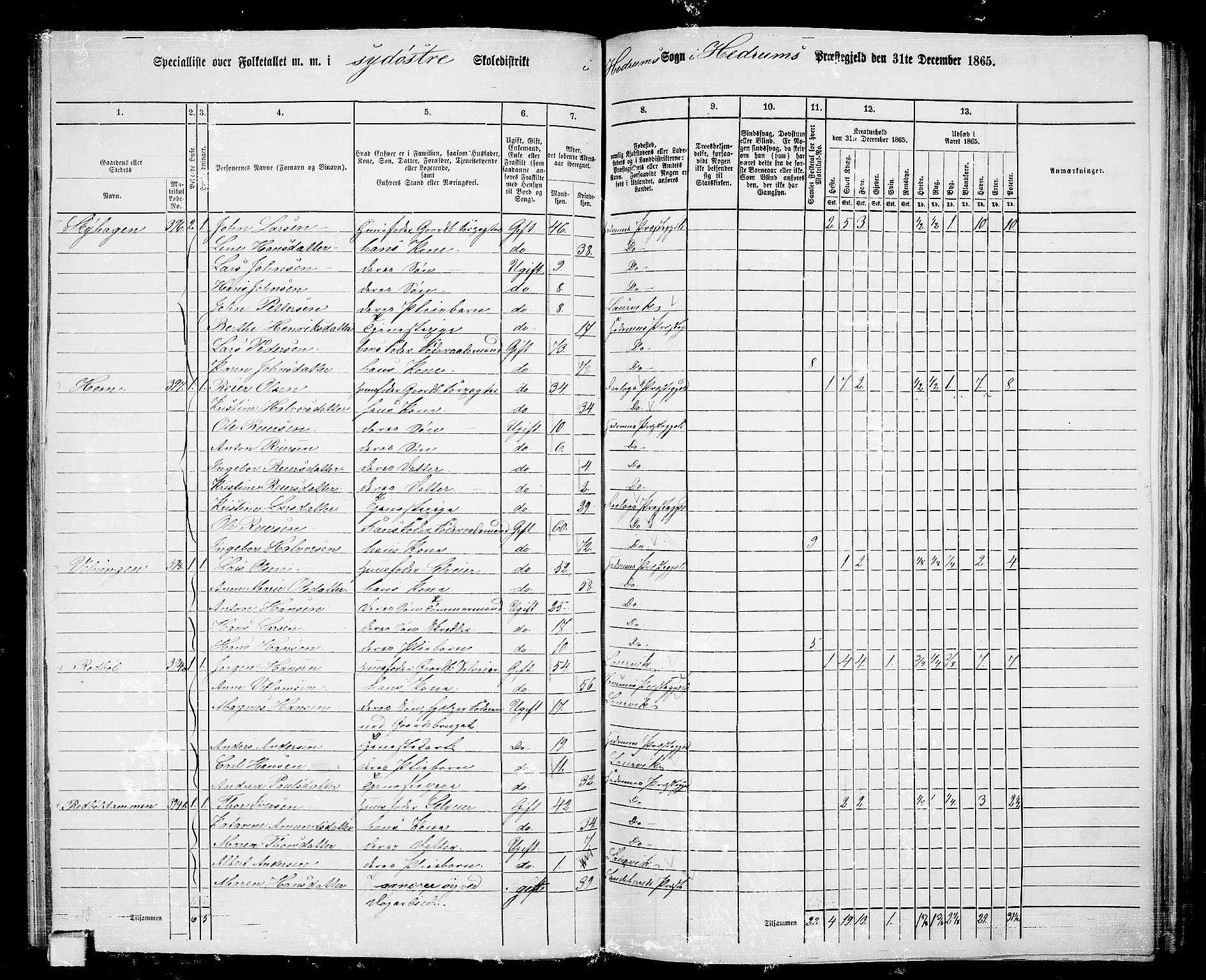 RA, 1865 census for Hedrum, 1865, p. 51