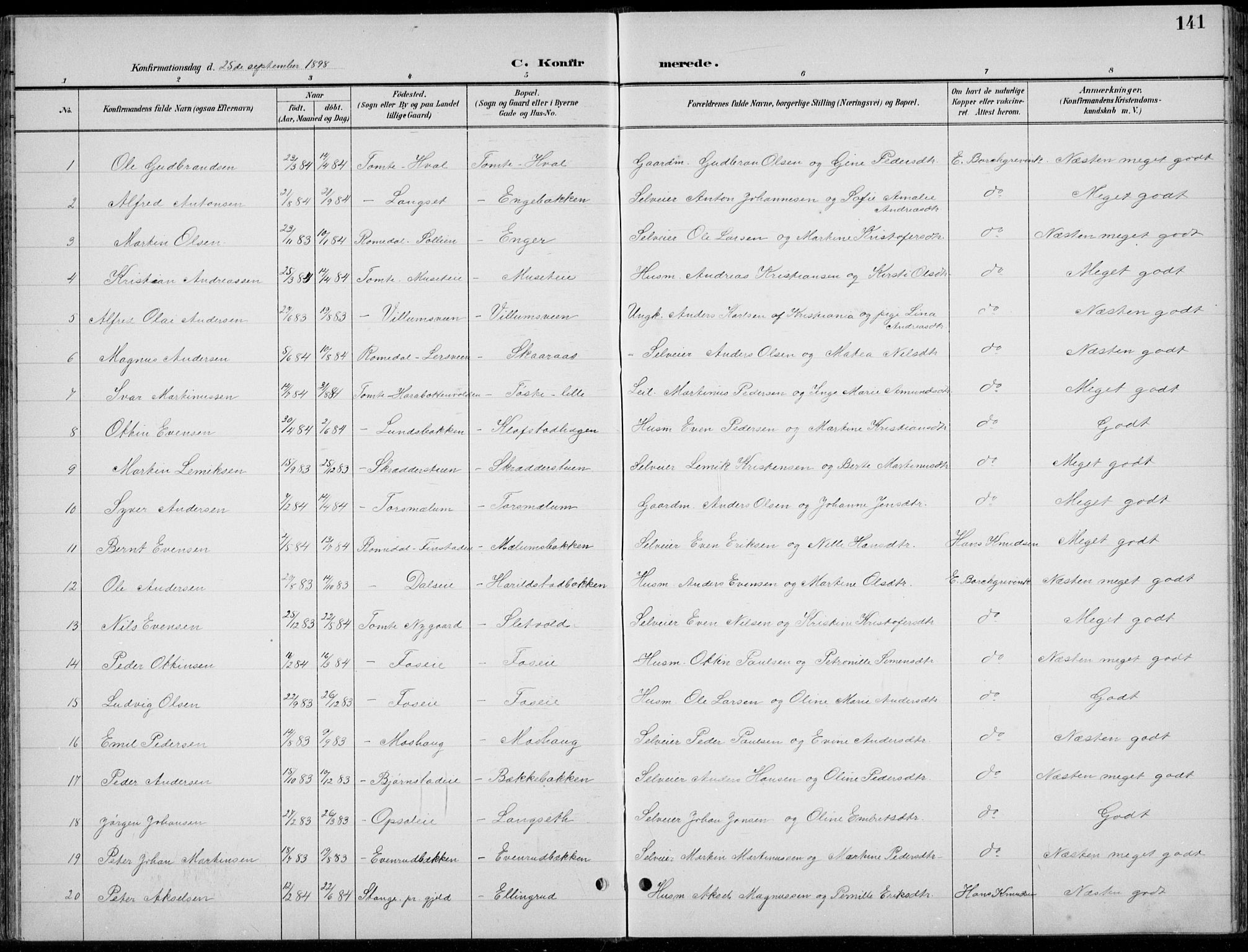 Romedal prestekontor, AV/SAH-PREST-004/L/L0013: Parish register (copy) no. 13, 1896-1937, p. 141