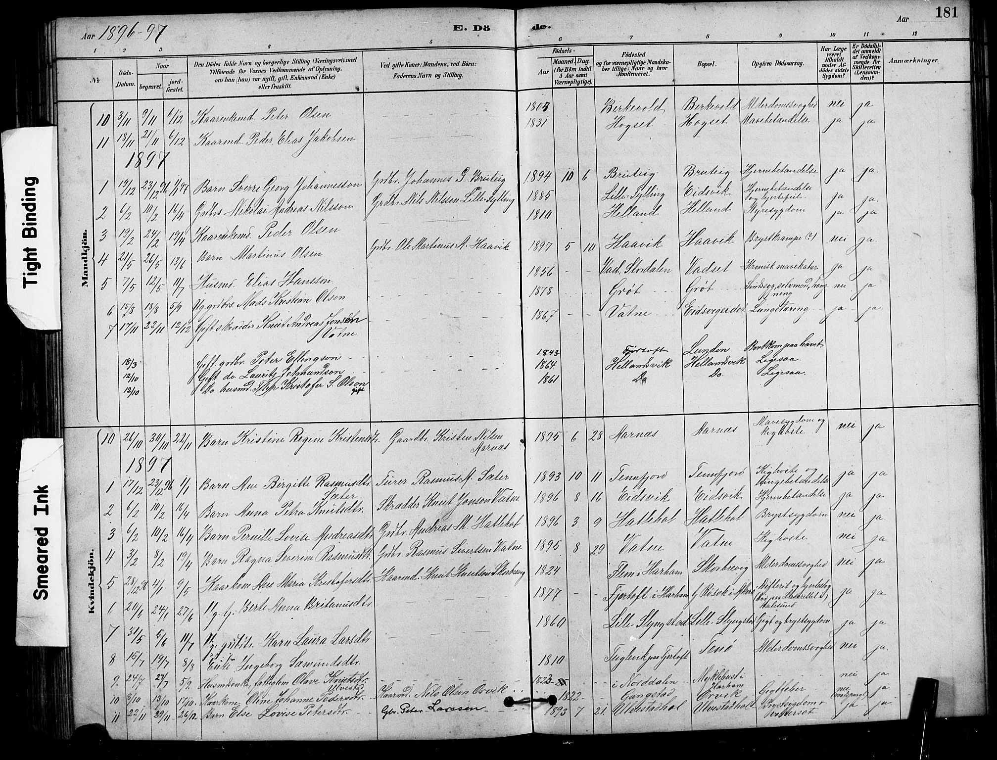 Ministerialprotokoller, klokkerbøker og fødselsregistre - Møre og Romsdal, AV/SAT-A-1454/525/L0376: Parish register (copy) no. 525C02, 1880-1902, p. 181