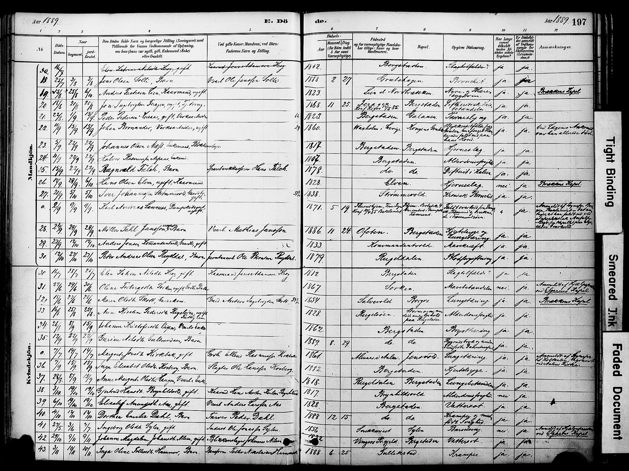 Ministerialprotokoller, klokkerbøker og fødselsregistre - Sør-Trøndelag, SAT/A-1456/681/L0933: Parish register (official) no. 681A11, 1879-1890, p. 197