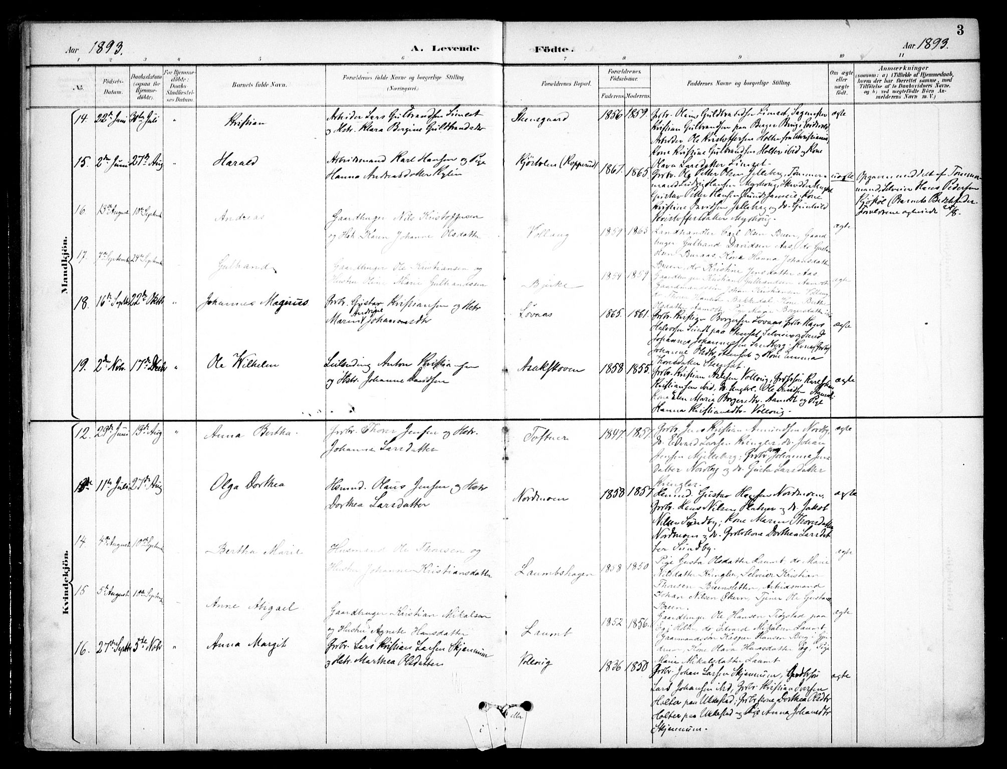 Nannestad prestekontor Kirkebøker, AV/SAO-A-10414a/F/Fc/L0002: Parish register (official) no. III 2, 1893-1907, p. 3