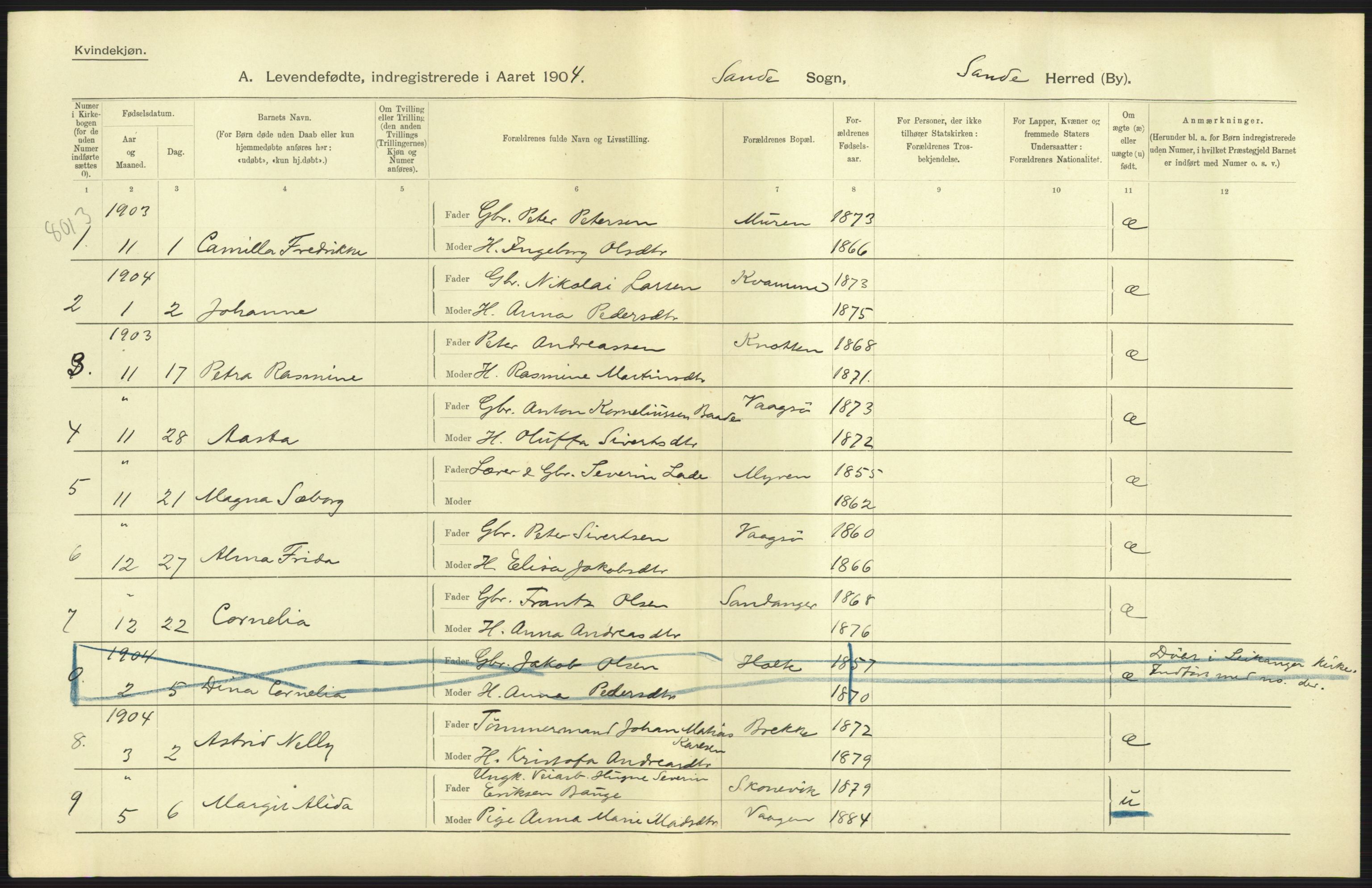 Statistisk sentralbyrå, Sosiodemografiske emner, Befolkning, AV/RA-S-2228/D/Df/Dfa/Dfab/L0016: Romsdals amt: Fødte, gifte, døde., 1904, p. 27