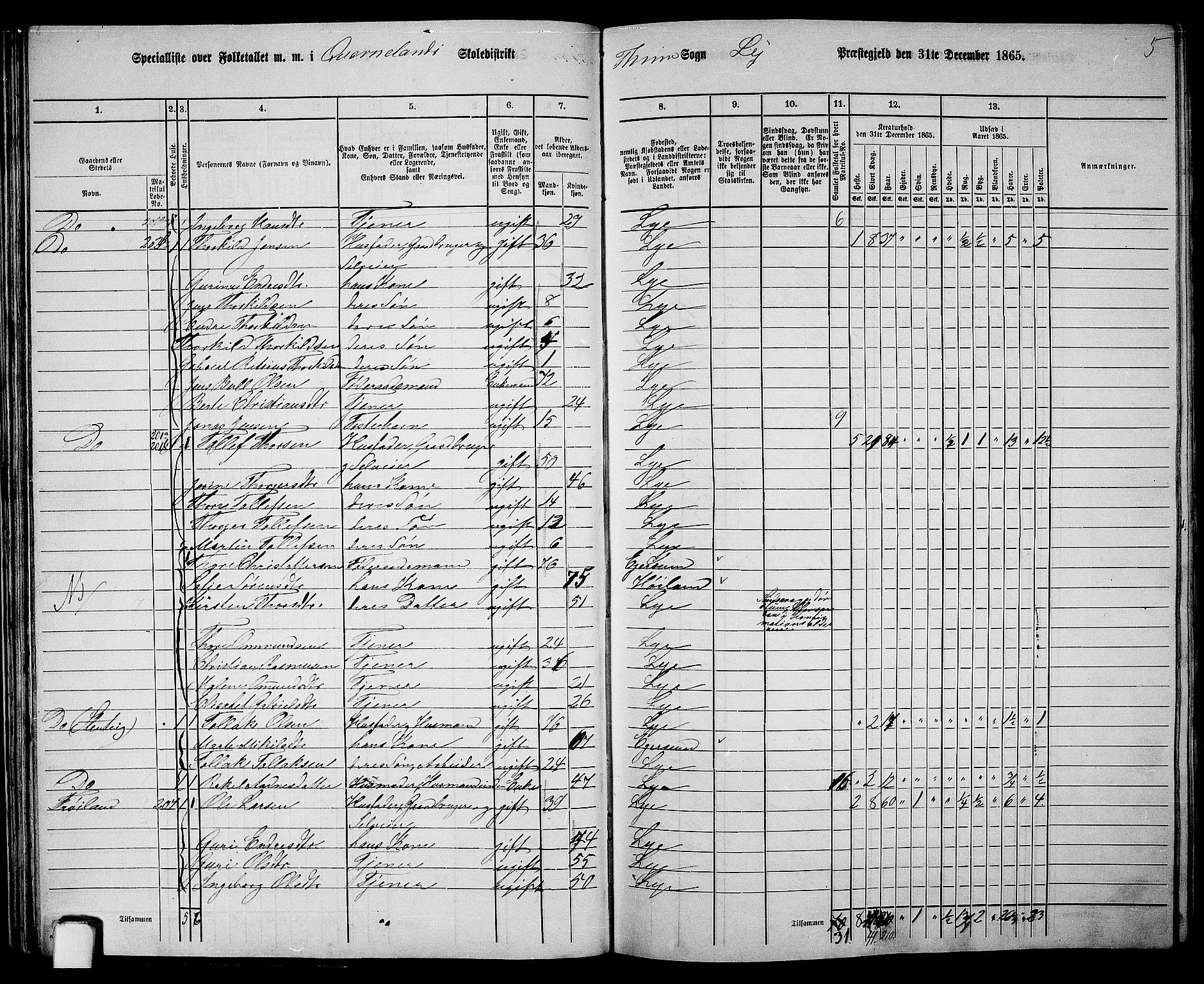 RA, 1865 census for Lye, 1865, p. 37