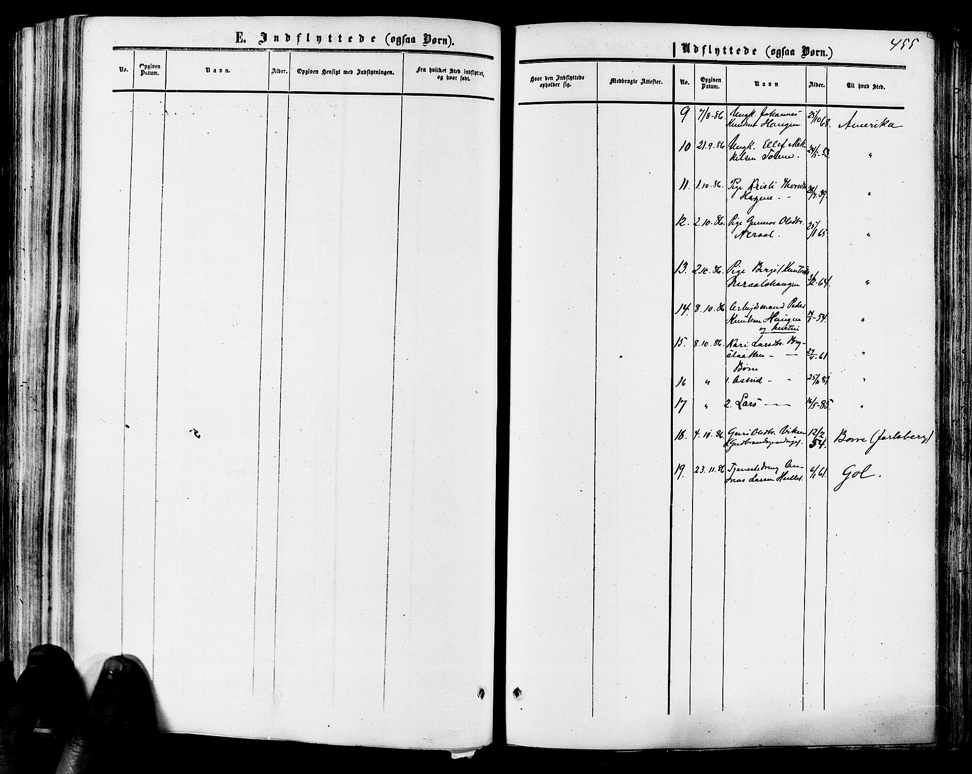 Hol kirkebøker, SAKO/A-227/F/Fa/L0002: Parish register (official) no. I 2, 1870-1886, p. 455