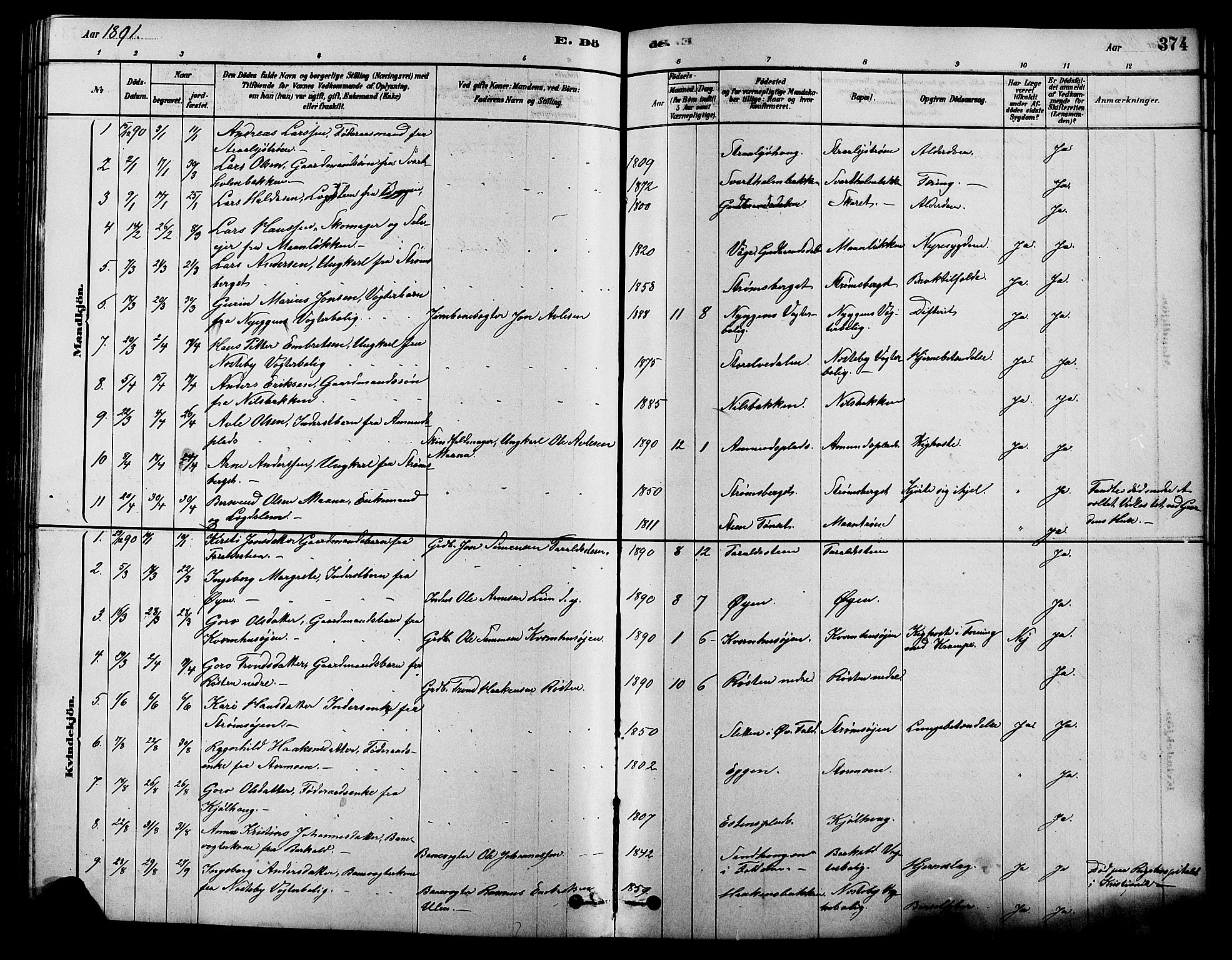 Alvdal prestekontor, SAH/PREST-060/H/Ha/Hab/L0003: Parish register (copy) no. 3, 1878-1907, p. 374