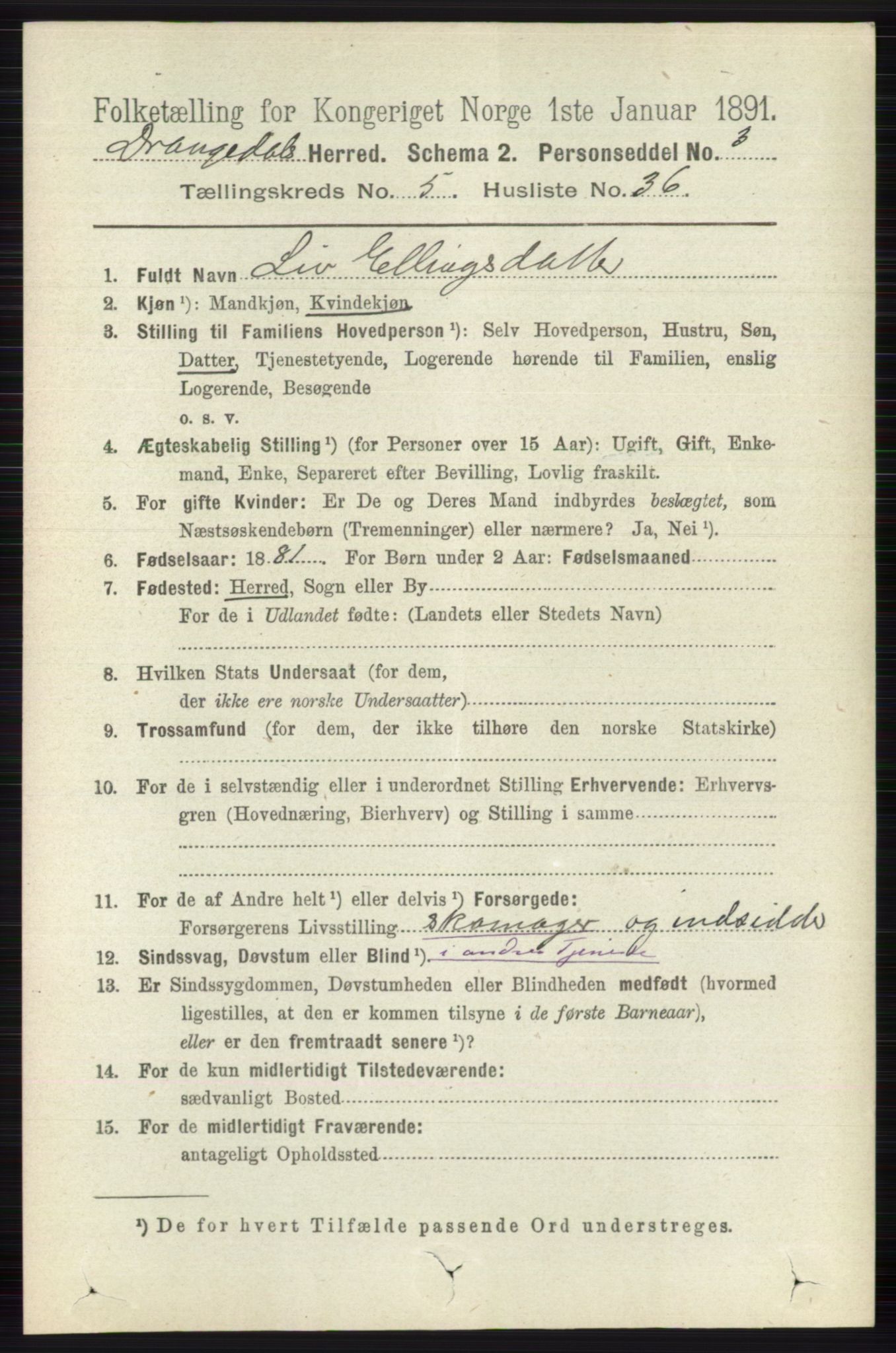 RA, 1891 census for 0817 Drangedal, 1891, p. 1913