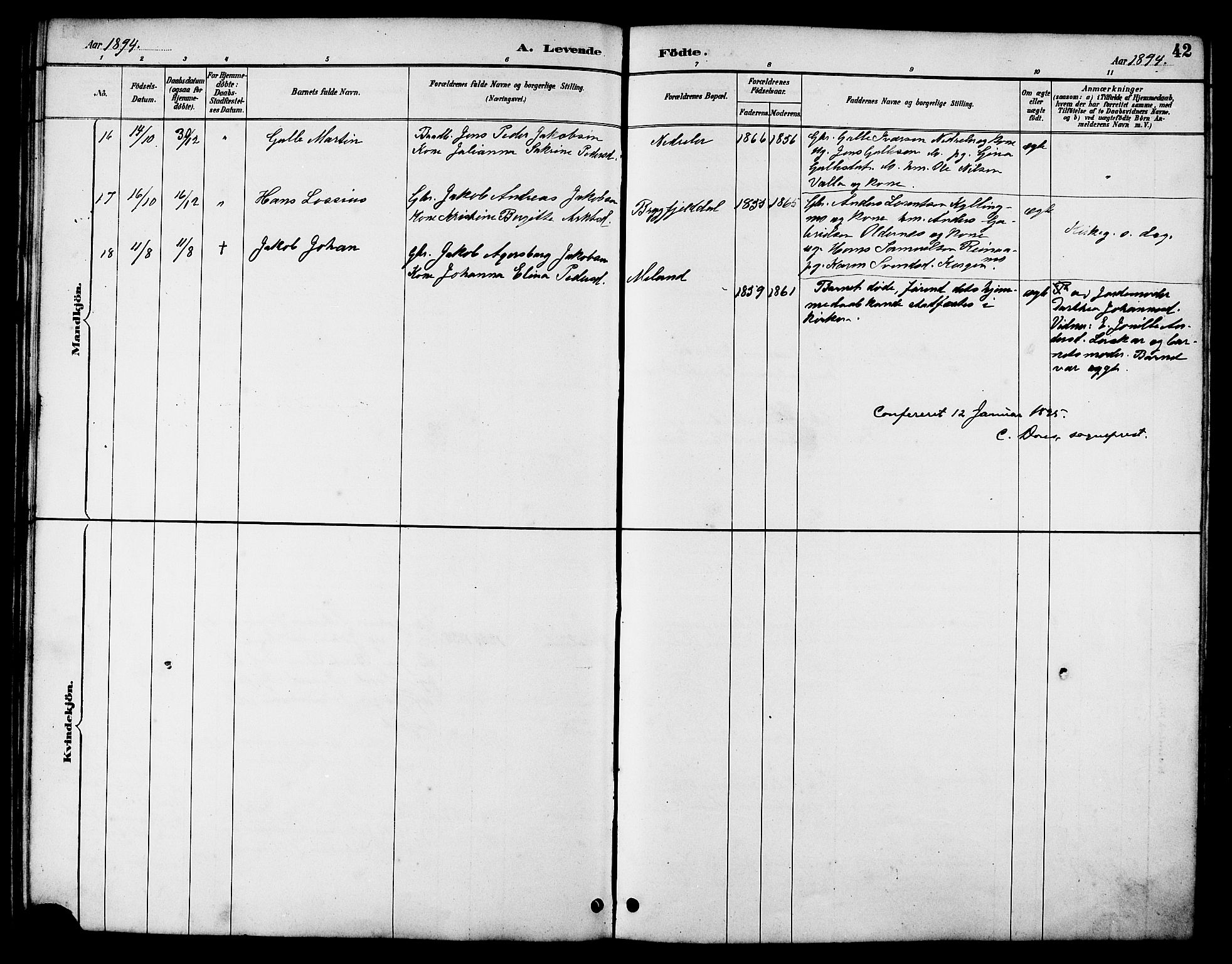 Ministerialprotokoller, klokkerbøker og fødselsregistre - Nordland, AV/SAT-A-1459/826/L0383: Parish register (copy) no. 826C03, 1887-1896, p. 42