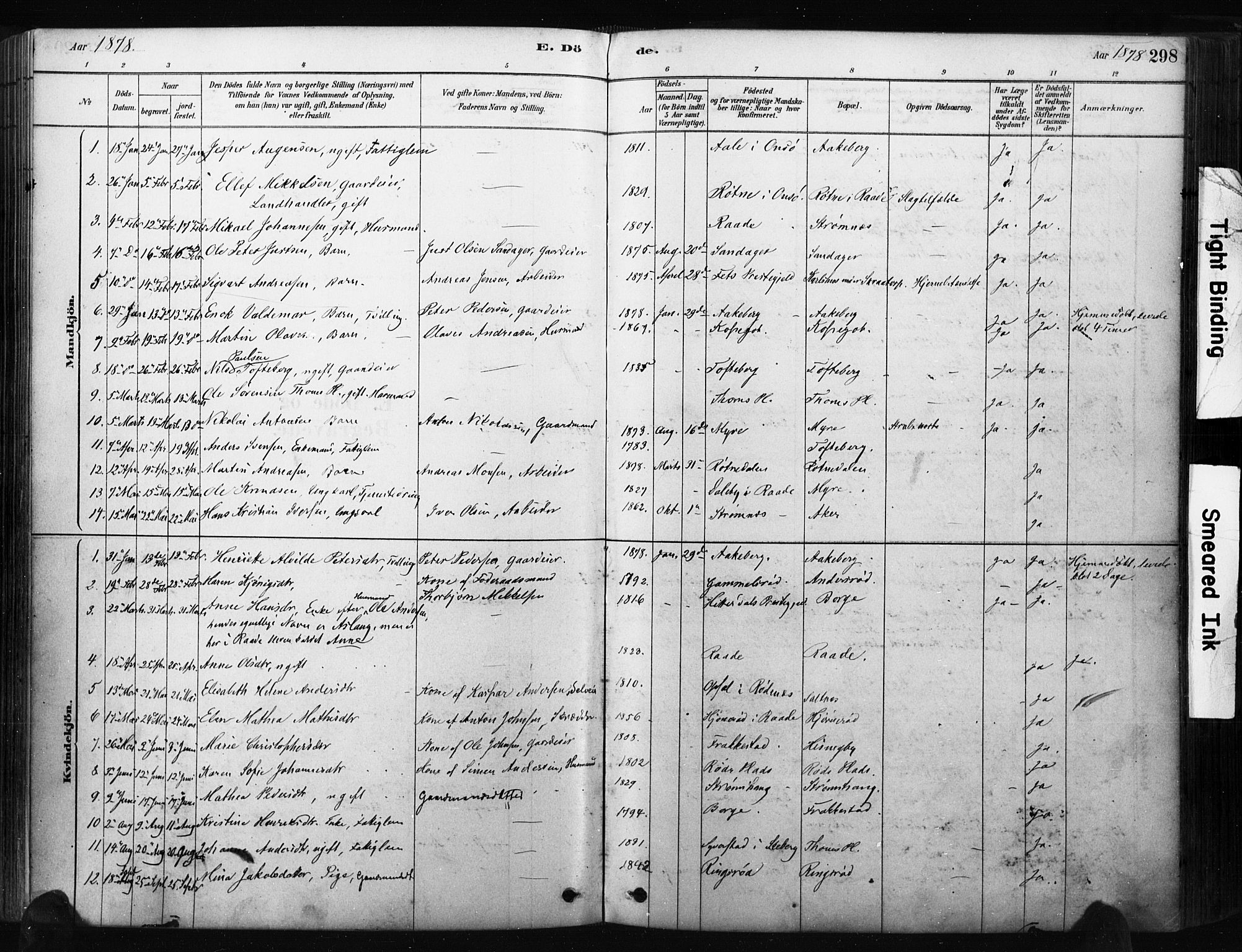 Råde prestekontor kirkebøker, SAO/A-2009/F/Fa/L0007: Parish register (official) no. 7, 1878-1902, p. 298