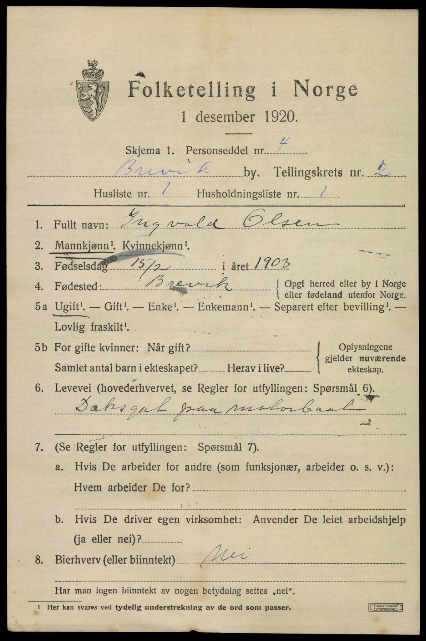 SAKO, 1920 census for Brevik, 1920, p. 3874