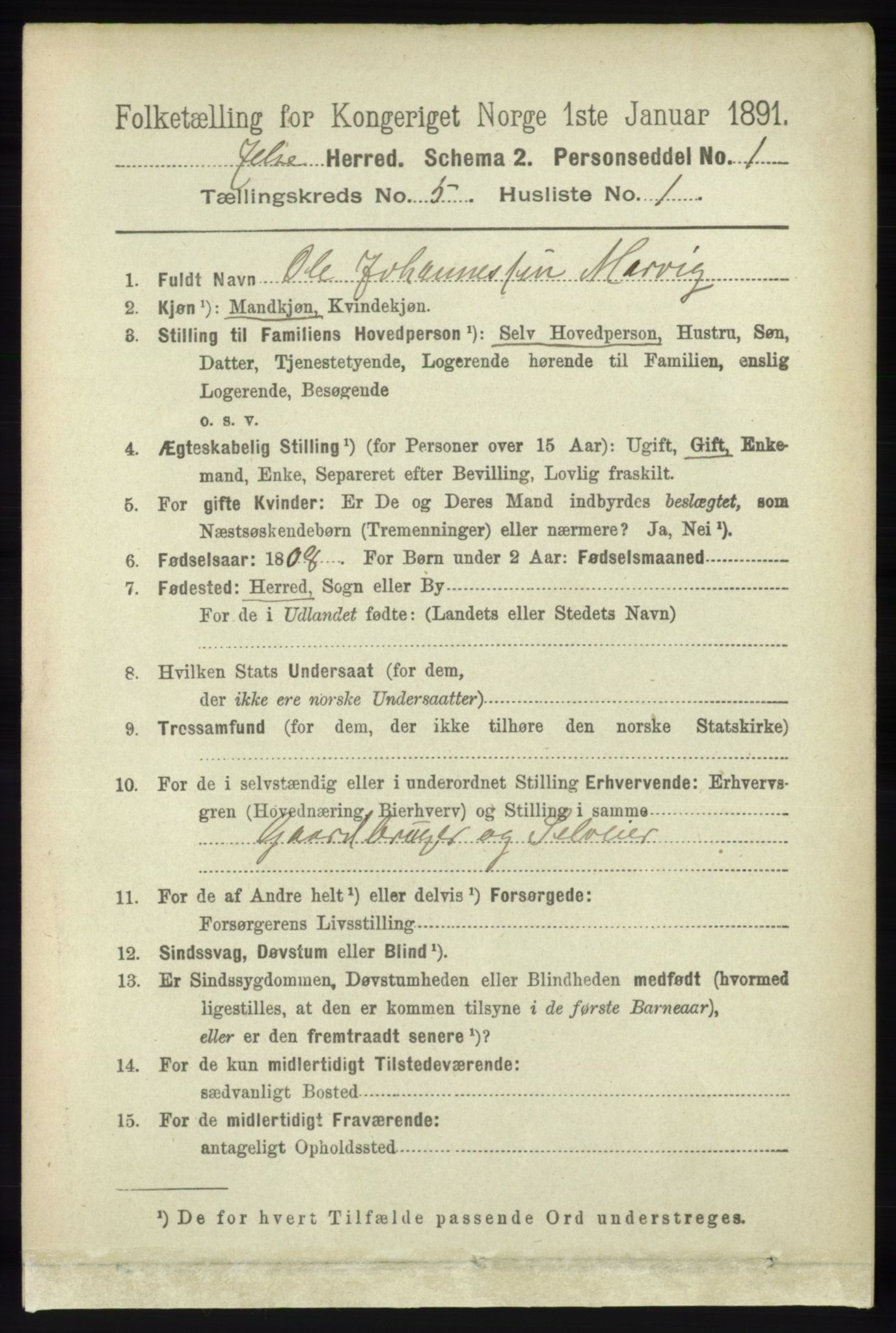 RA, 1891 census for 1138 Jelsa, 1891, p. 1063