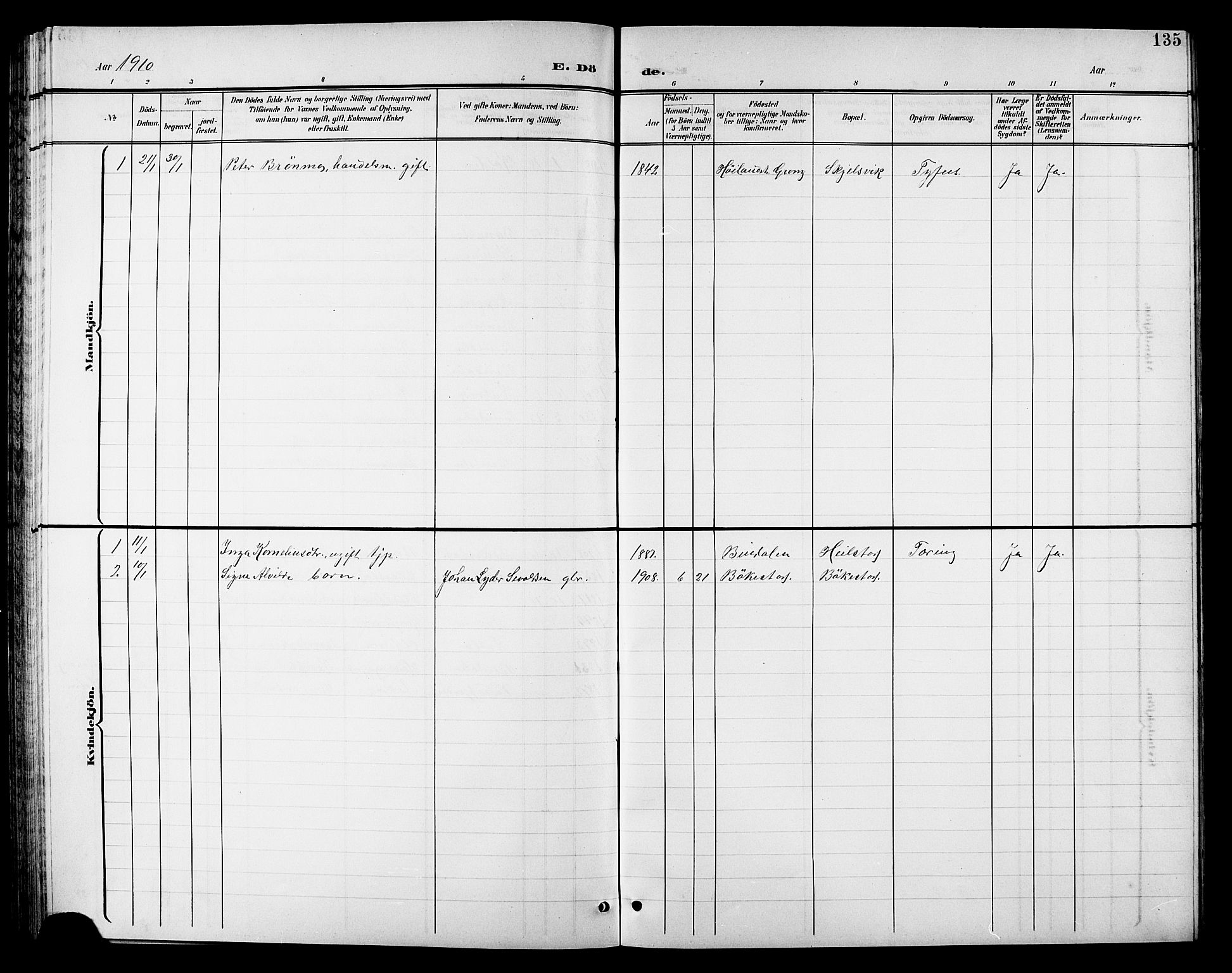 Ministerialprotokoller, klokkerbøker og fødselsregistre - Nordland, SAT/A-1459/810/L0161: Parish register (copy) no. 810C04, 1897-1910, p. 135