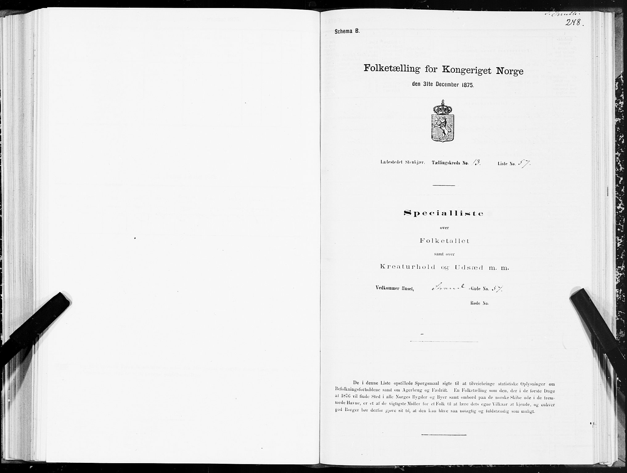 SAT, 1875 census for 1702B Steinkjer/Steinkjer, 1875, p. 248