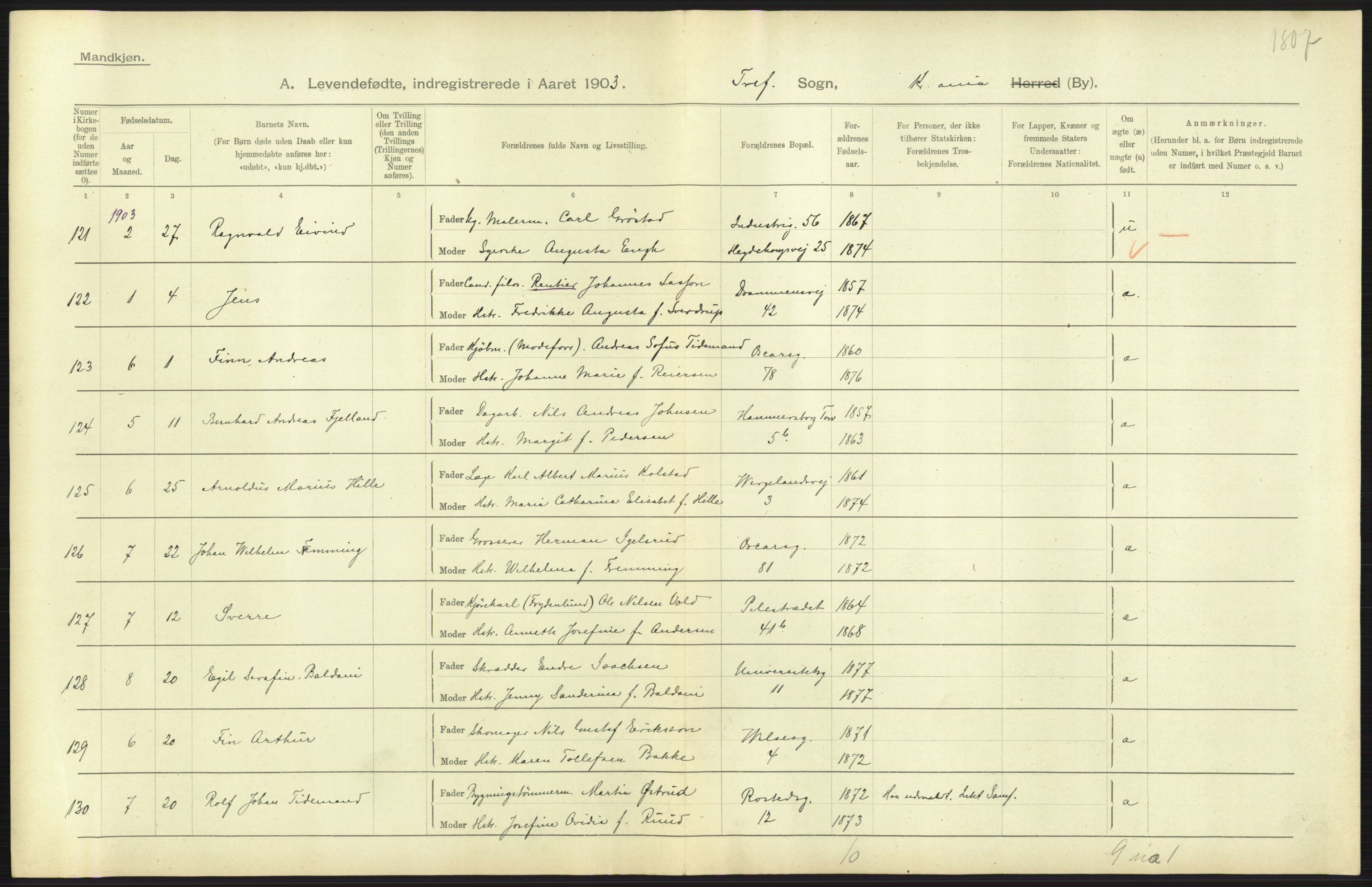 Statistisk sentralbyrå, Sosiodemografiske emner, Befolkning, AV/RA-S-2228/D/Df/Dfa/Dfaa/L0003: Kristiania: Fødte, 1903, p. 245