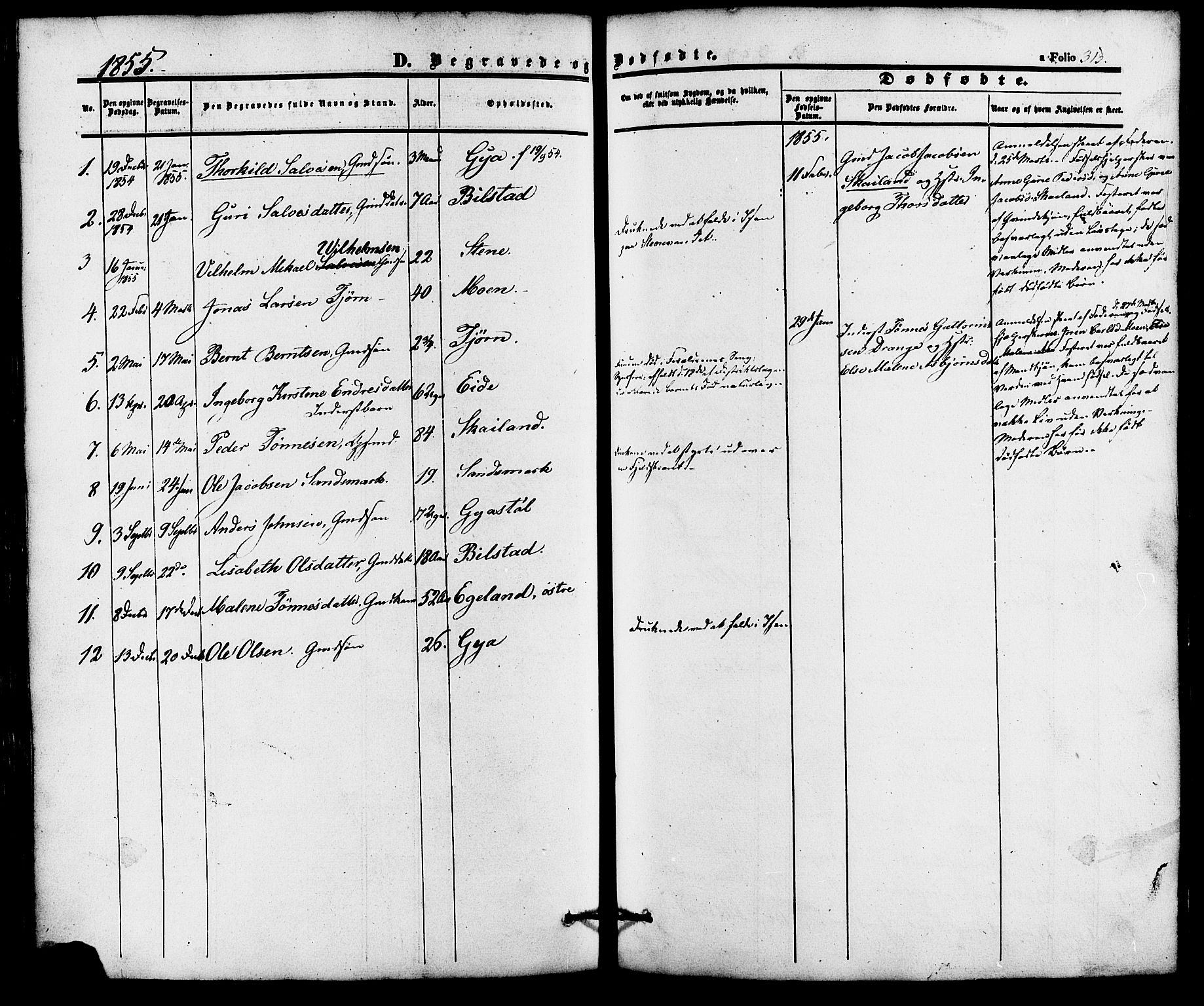 Lund sokneprestkontor, AV/SAST-A-101809/S06/L0010: Parish register (official) no. A 9, 1854-1886, p. 313