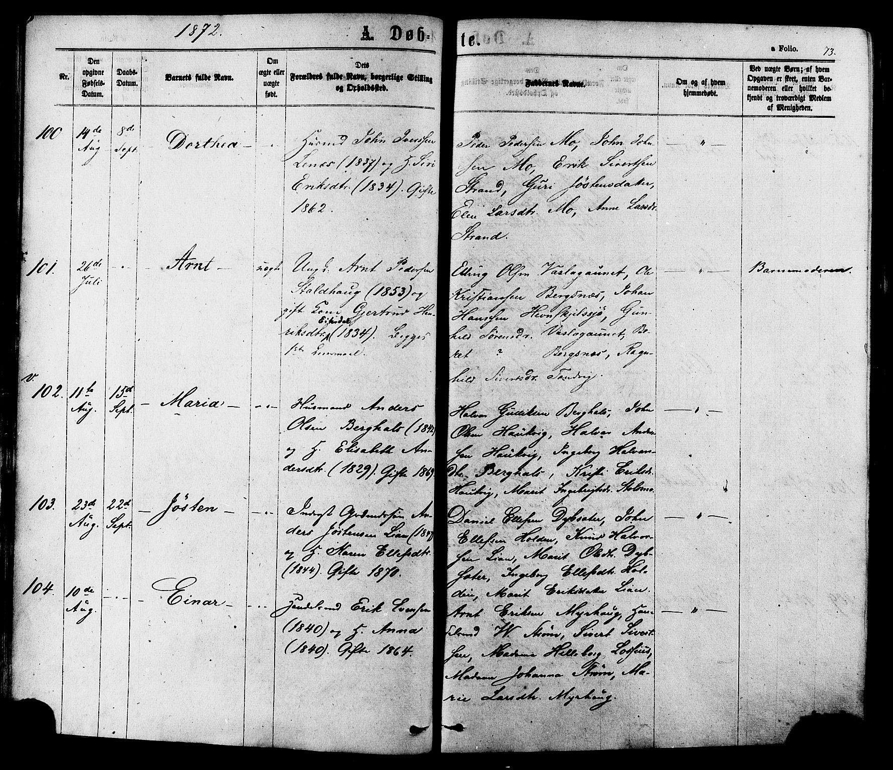 Ministerialprotokoller, klokkerbøker og fødselsregistre - Sør-Trøndelag, AV/SAT-A-1456/630/L0495: Parish register (official) no. 630A08, 1868-1878, p. 73