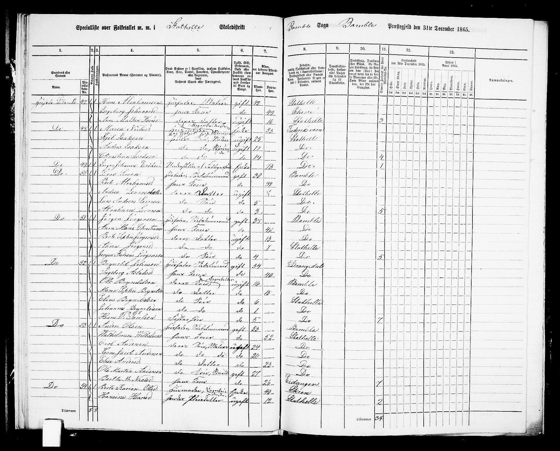 RA, 1865 census for Bamble, 1865, p. 238