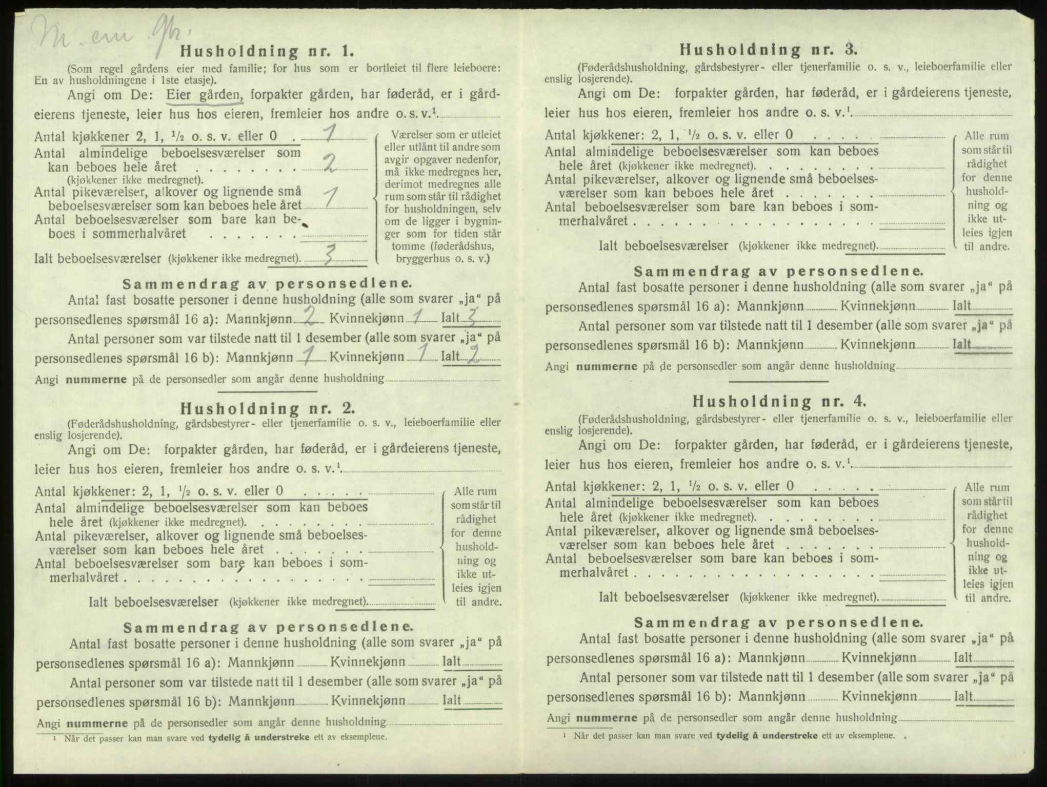 SAB, 1920 census for Vik, 1920, p. 1028