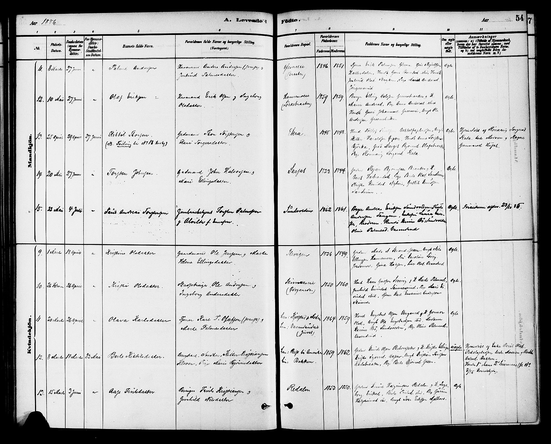 Krødsherad kirkebøker, AV/SAKO-A-19/G/Ga/L0001: Parish register (copy) no. 1, 1879-1893, p. 54