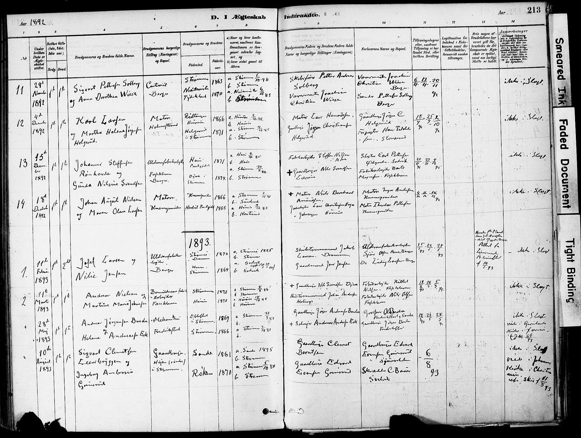 Strømm kirkebøker, AV/SAKO-A-322/F/Fa/L0004: Parish register (official) no. I 4, 1878-1899, p. 213