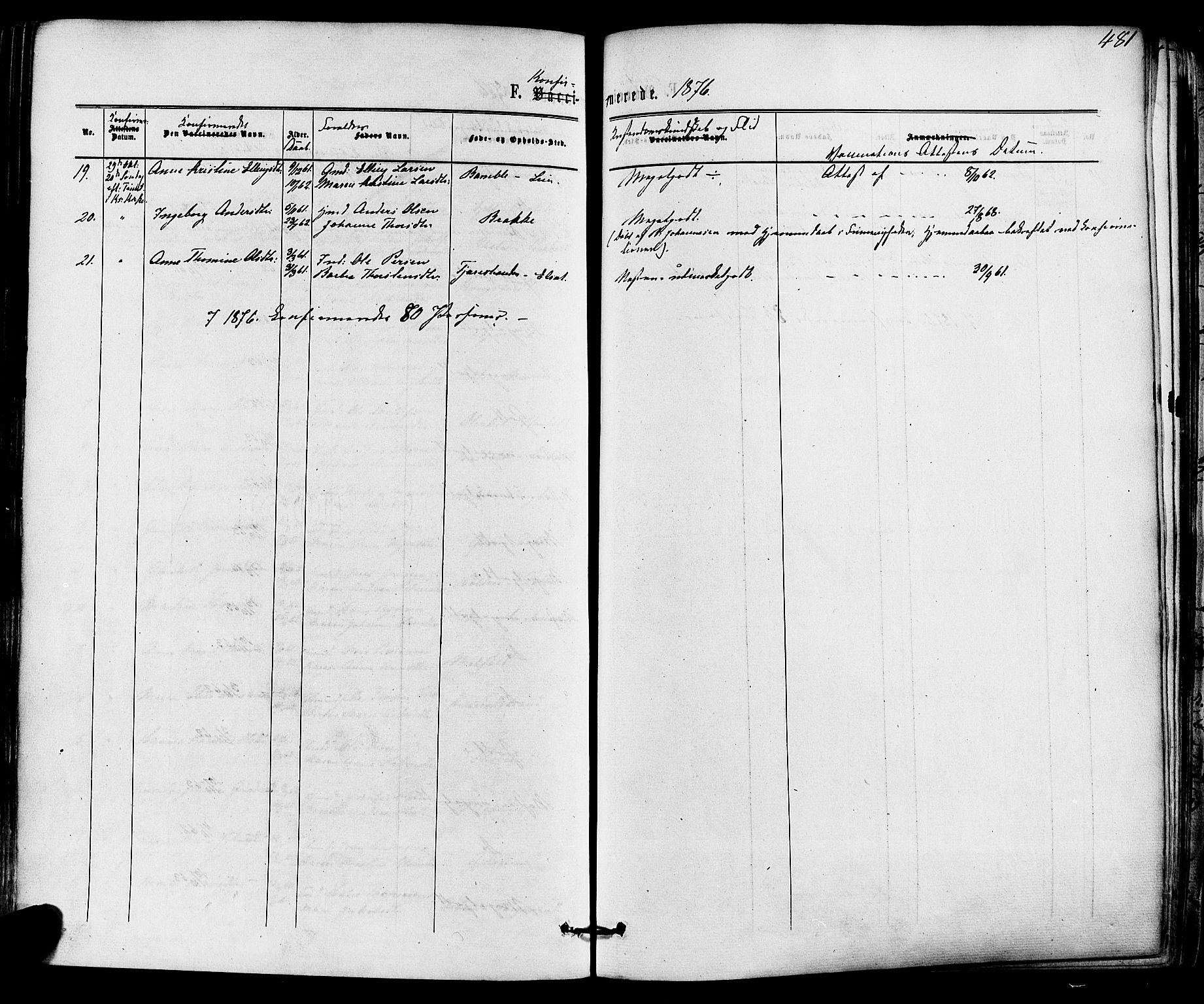 Solum kirkebøker, AV/SAKO-A-306/F/Fa/L0008: Parish register (official) no. I 8, 1865-1876, p. 481