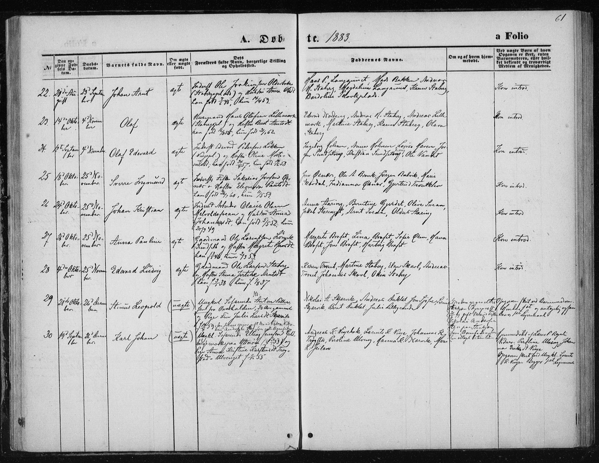 Ministerialprotokoller, klokkerbøker og fødselsregistre - Nord-Trøndelag, AV/SAT-A-1458/733/L0324: Parish register (official) no. 733A03, 1870-1883, p. 61