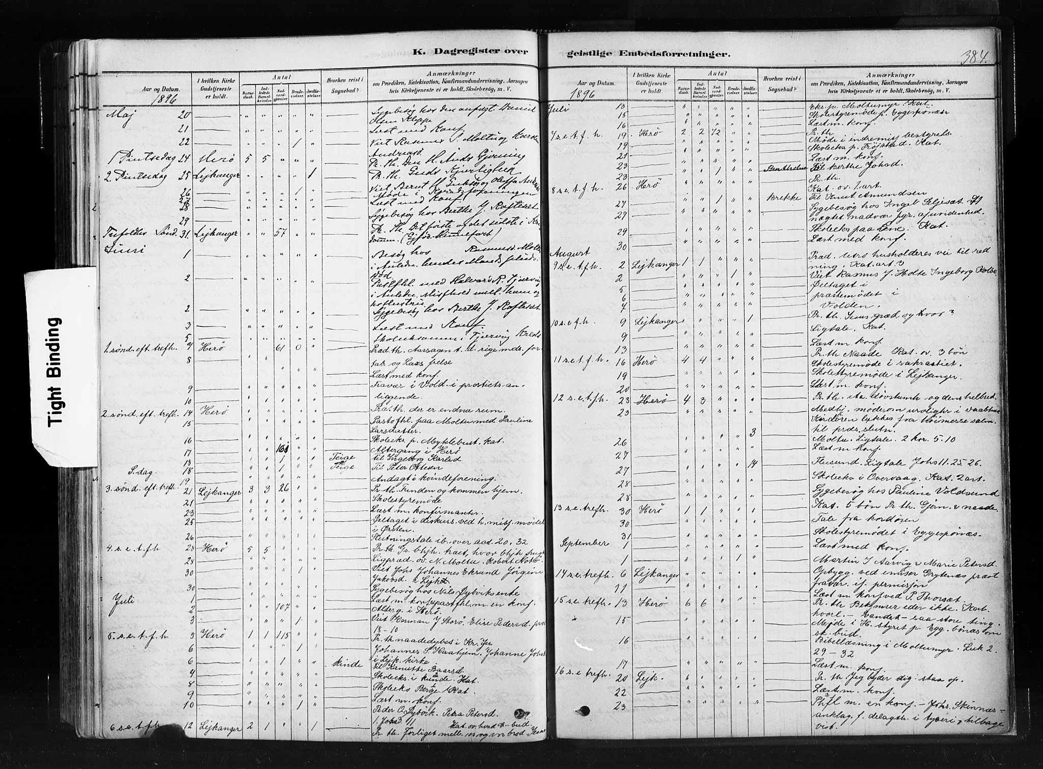 Ministerialprotokoller, klokkerbøker og fødselsregistre - Møre og Romsdal, AV/SAT-A-1454/507/L0073: Parish register (official) no. 507A08, 1878-1904, p. 384