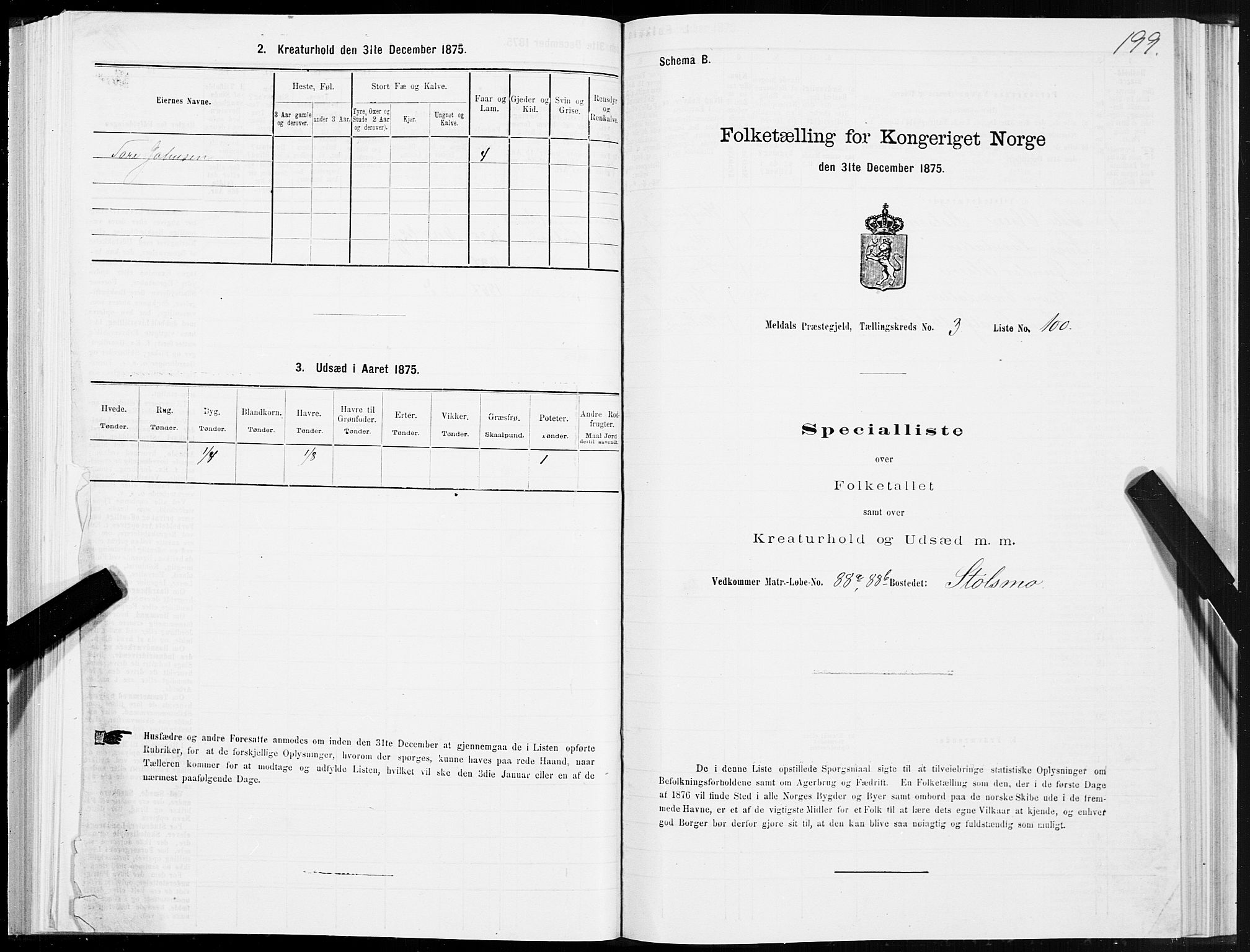 SAT, 1875 census for 1636P Meldal, 1875, p. 2199