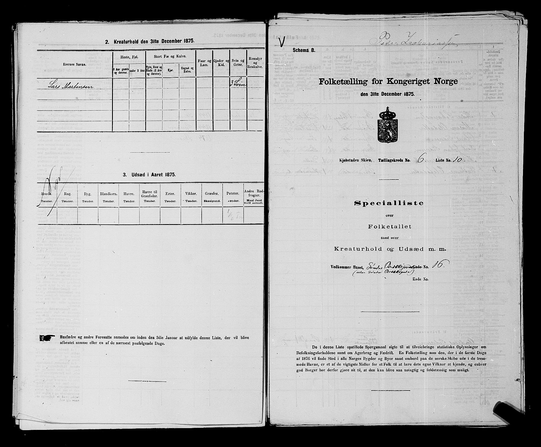 SAKO, 1875 census for 0806P Skien, 1875, p. 981