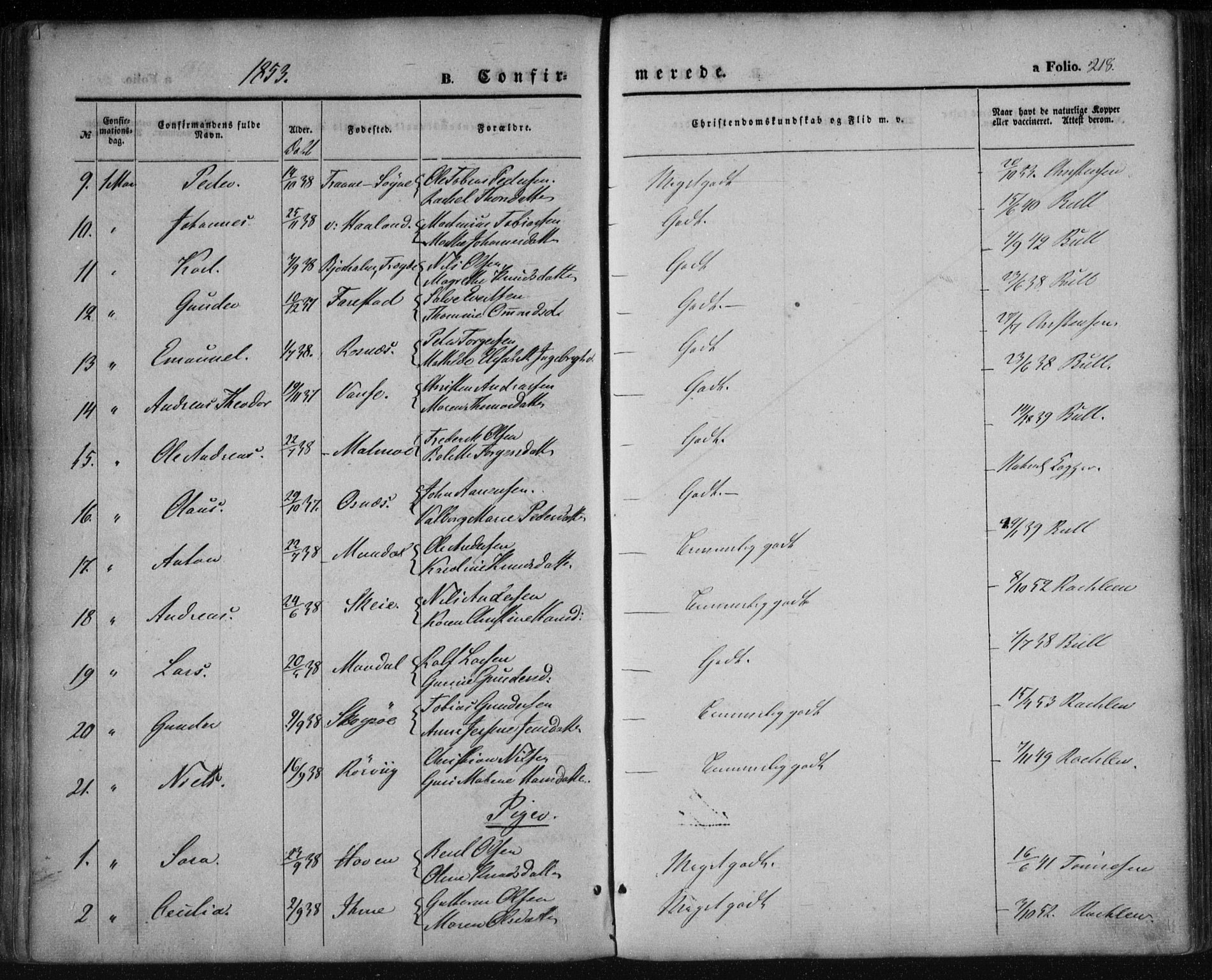 Mandal sokneprestkontor, AV/SAK-1111-0030/F/Fa/Faa/L0013: Parish register (official) no. A 13, 1847-1859, p. 218