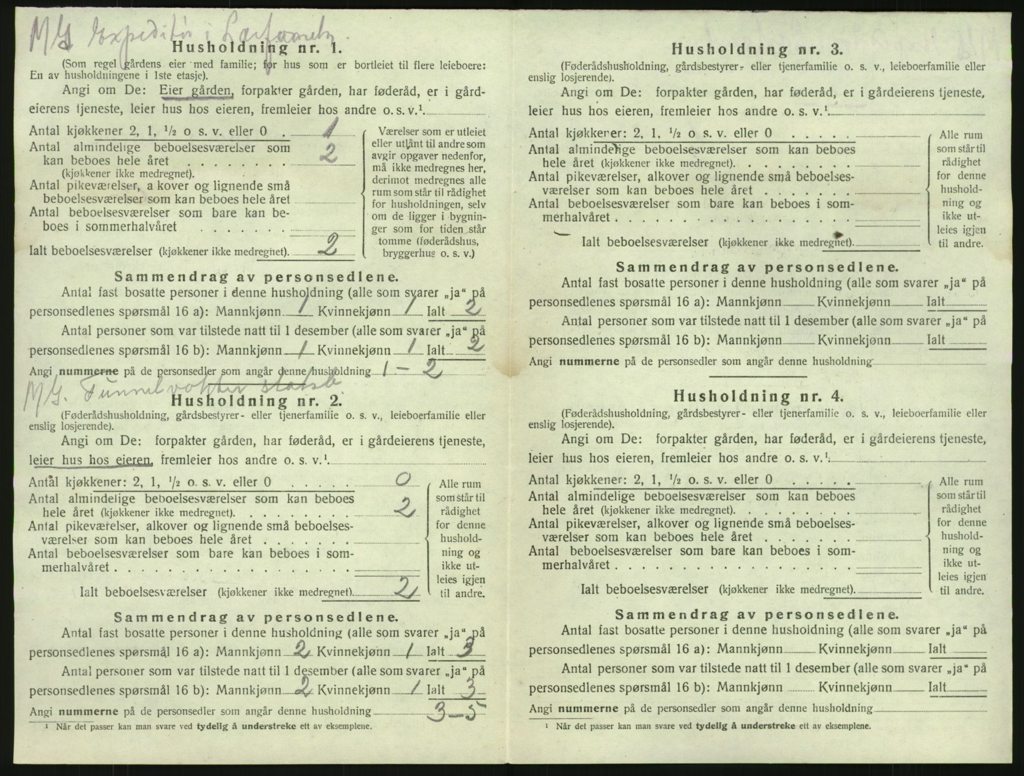SAKO, 1920 census for Brunlanes, 1920, p. 738