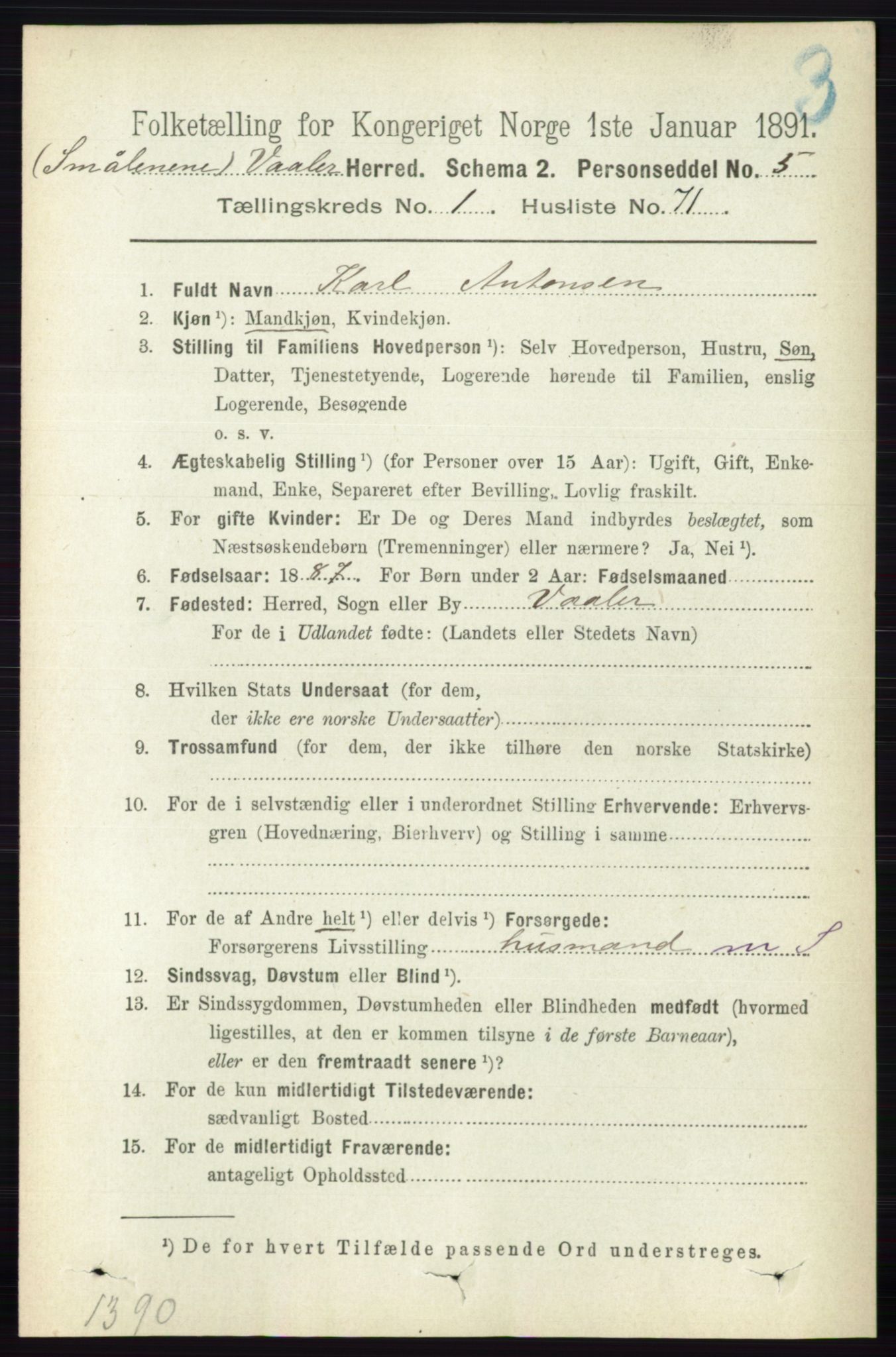 RA, 1891 census for 0137 Våler, 1891, p. 551
