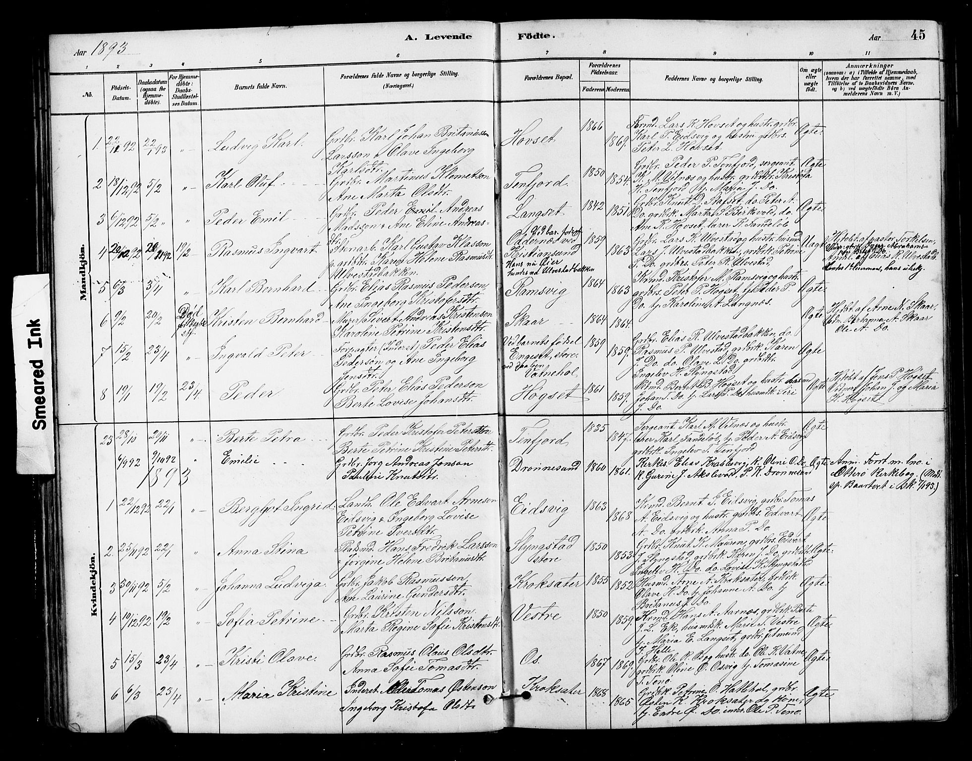 Ministerialprotokoller, klokkerbøker og fødselsregistre - Møre og Romsdal, AV/SAT-A-1454/525/L0376: Parish register (copy) no. 525C02, 1880-1902, p. 45