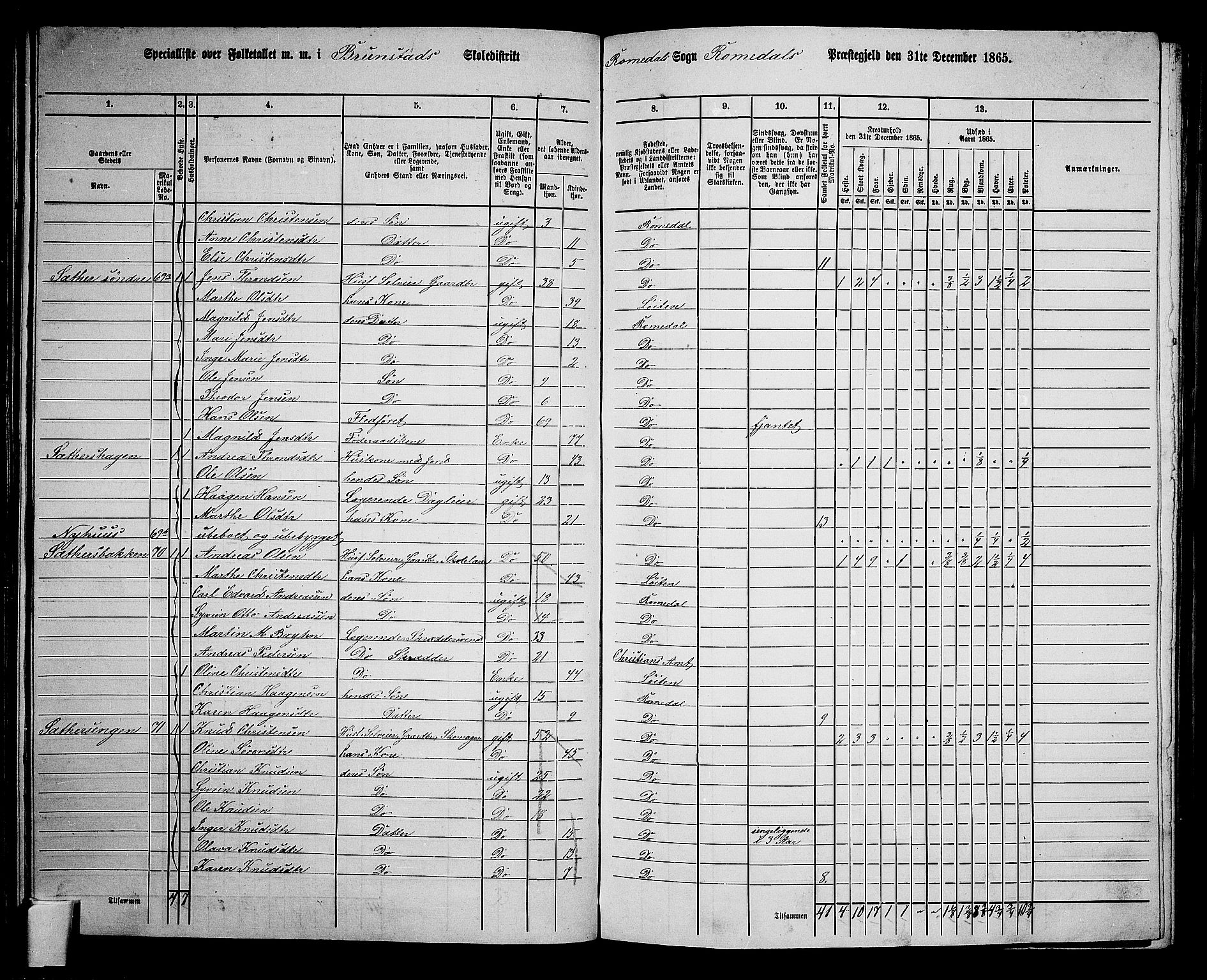 RA, 1865 census for Romedal, 1865, p. 98